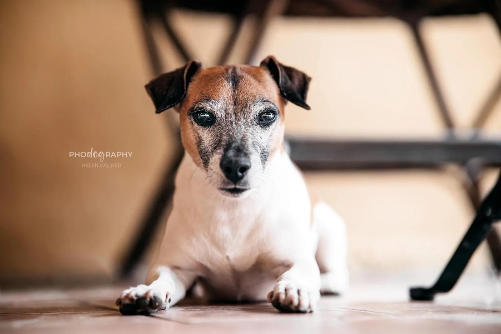 B&B DOMU INCANTO Sa Domu sarrabesa