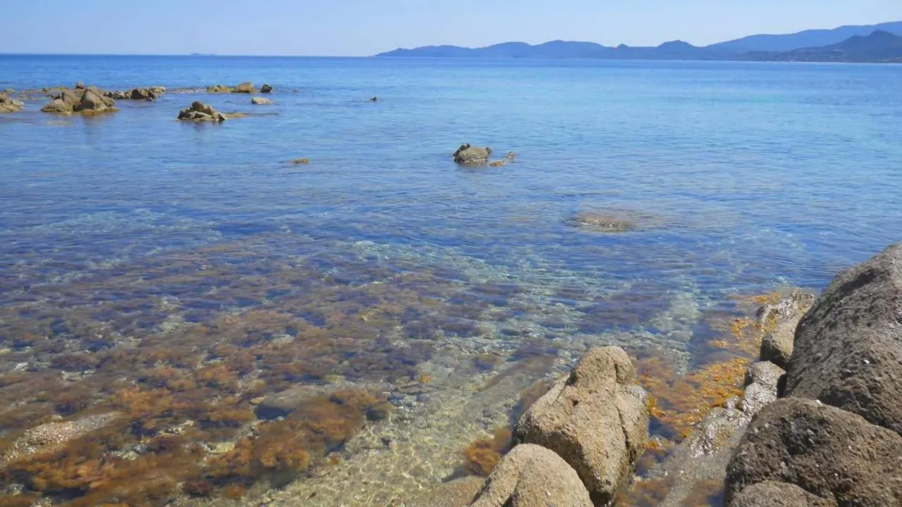 Beach in B&B DOMU INCANTO Sa Domu sarrabesa