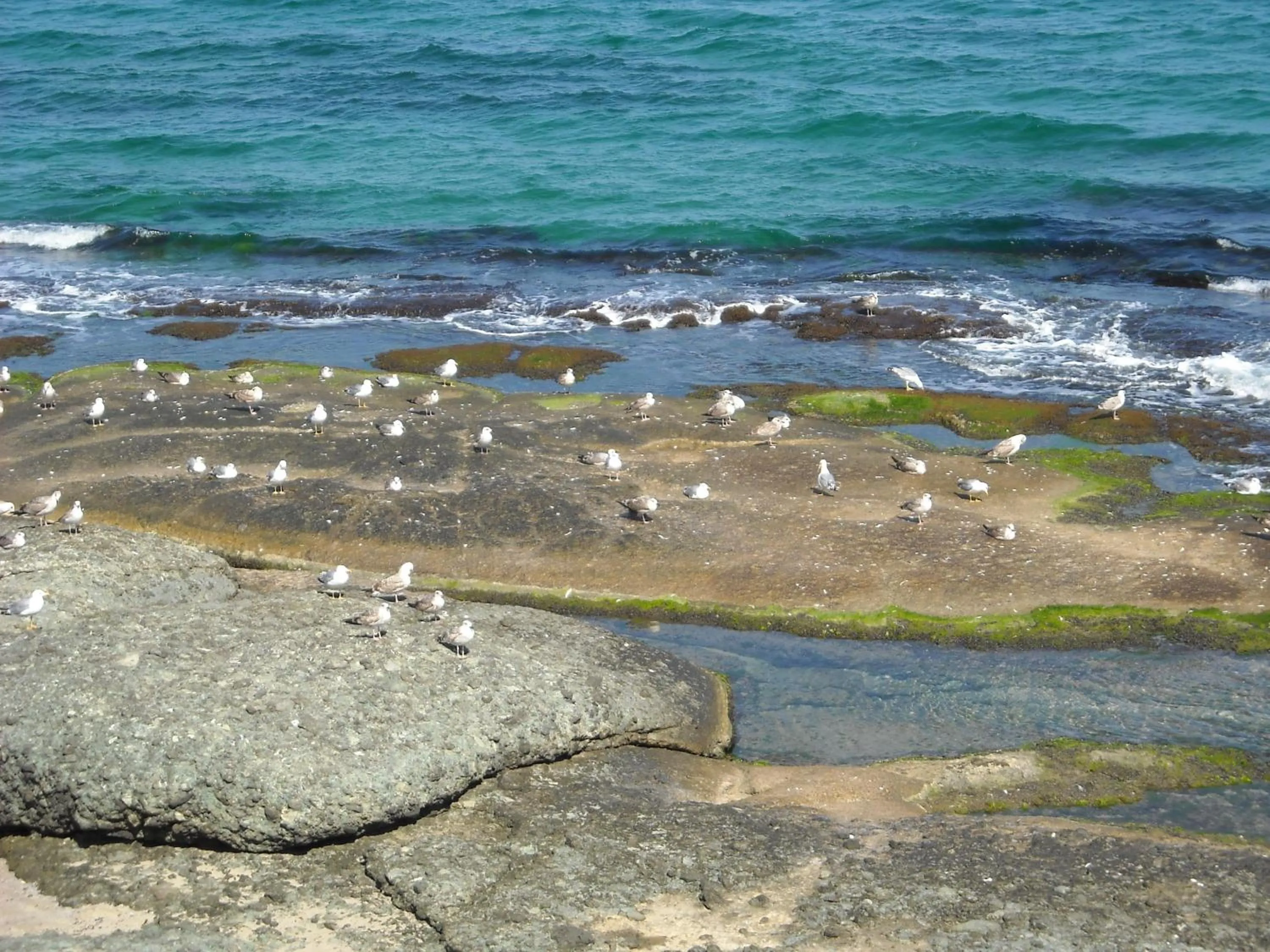 Beach in Aparthotel Romance