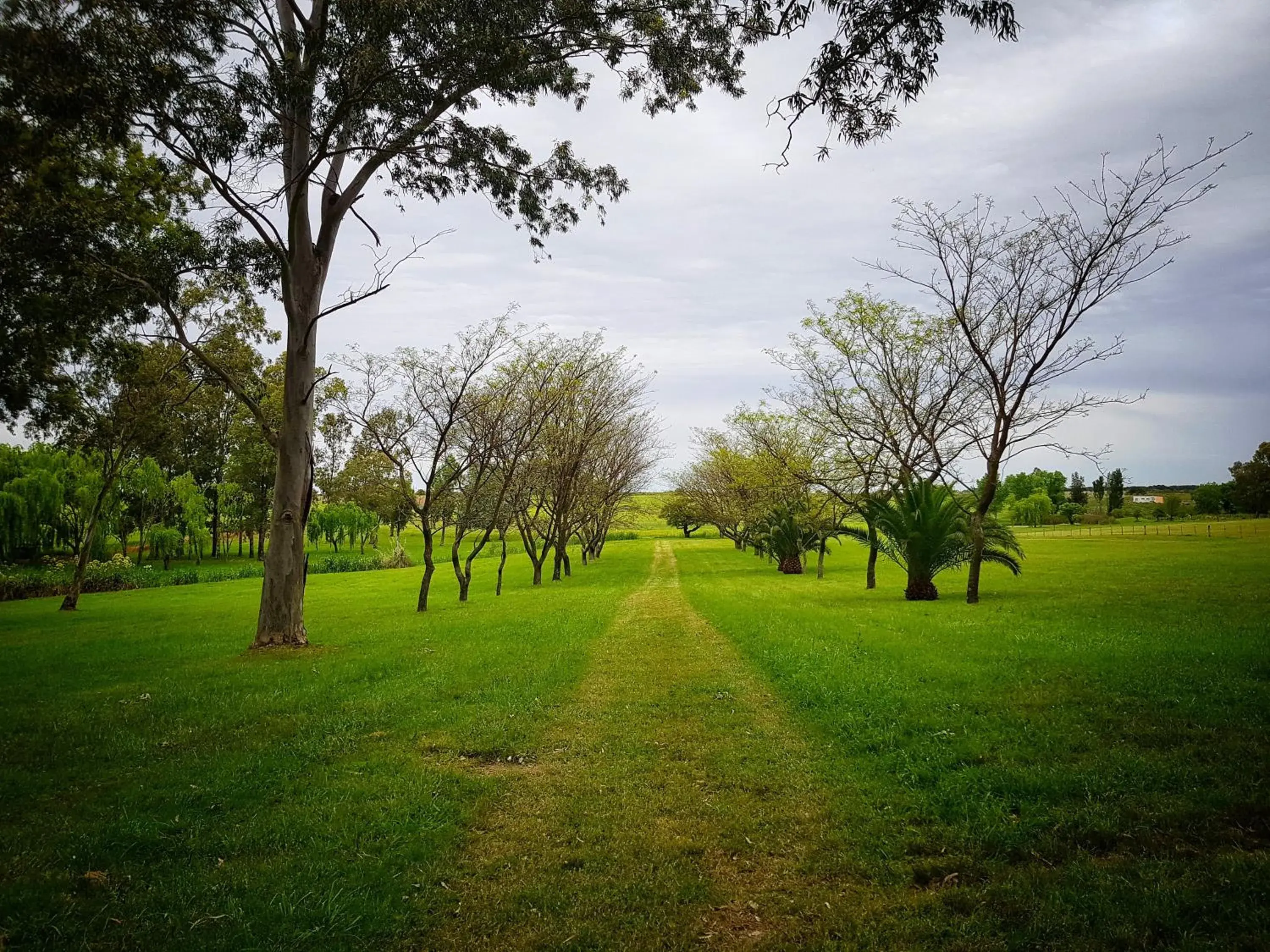 Garden view in Casa del Sol Hotel & Restaurante Garden view in Casa del Sol Hotel & Restaurante