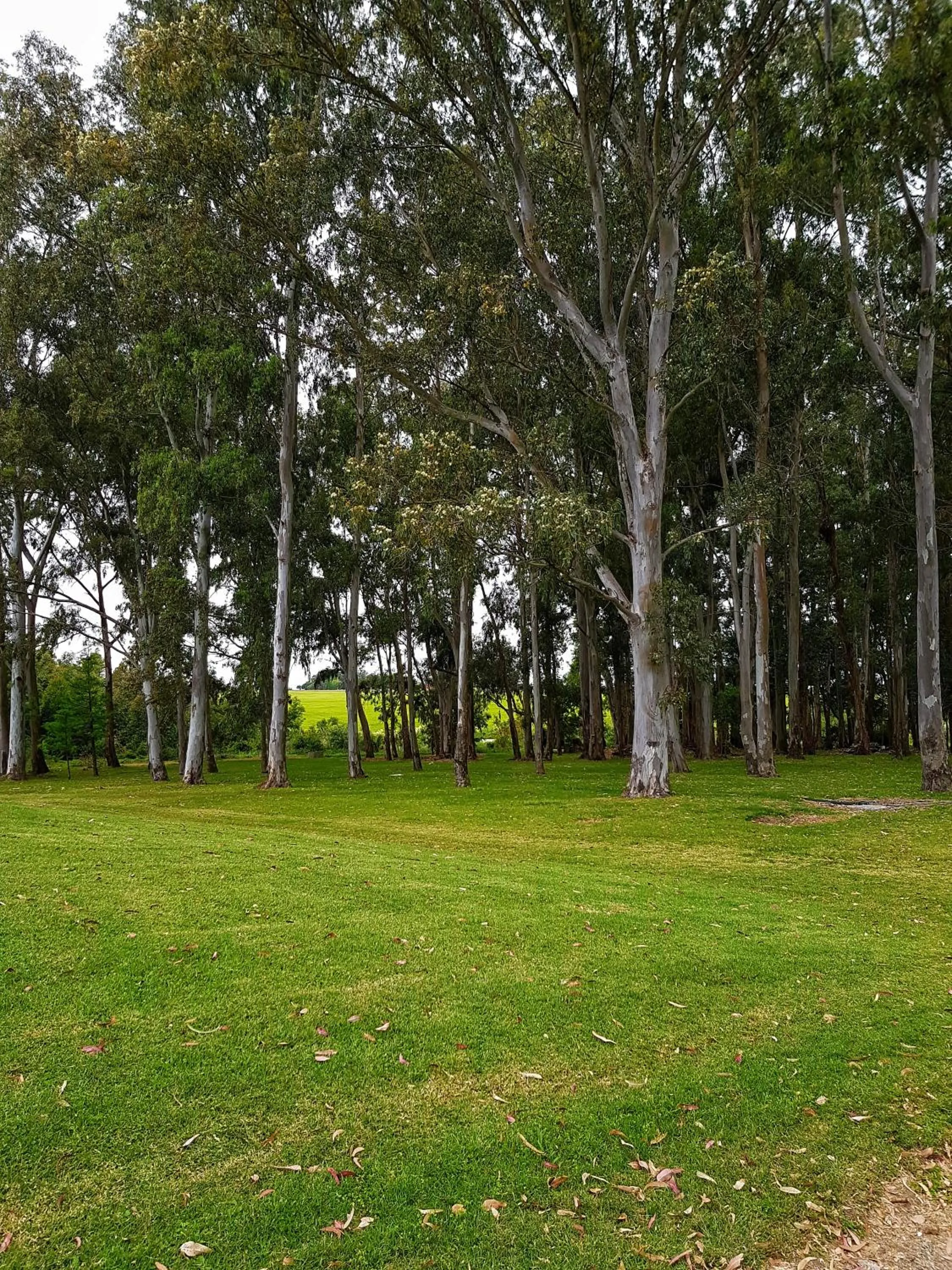 Natural landscape in Casa del Sol Hotel & Restaurante