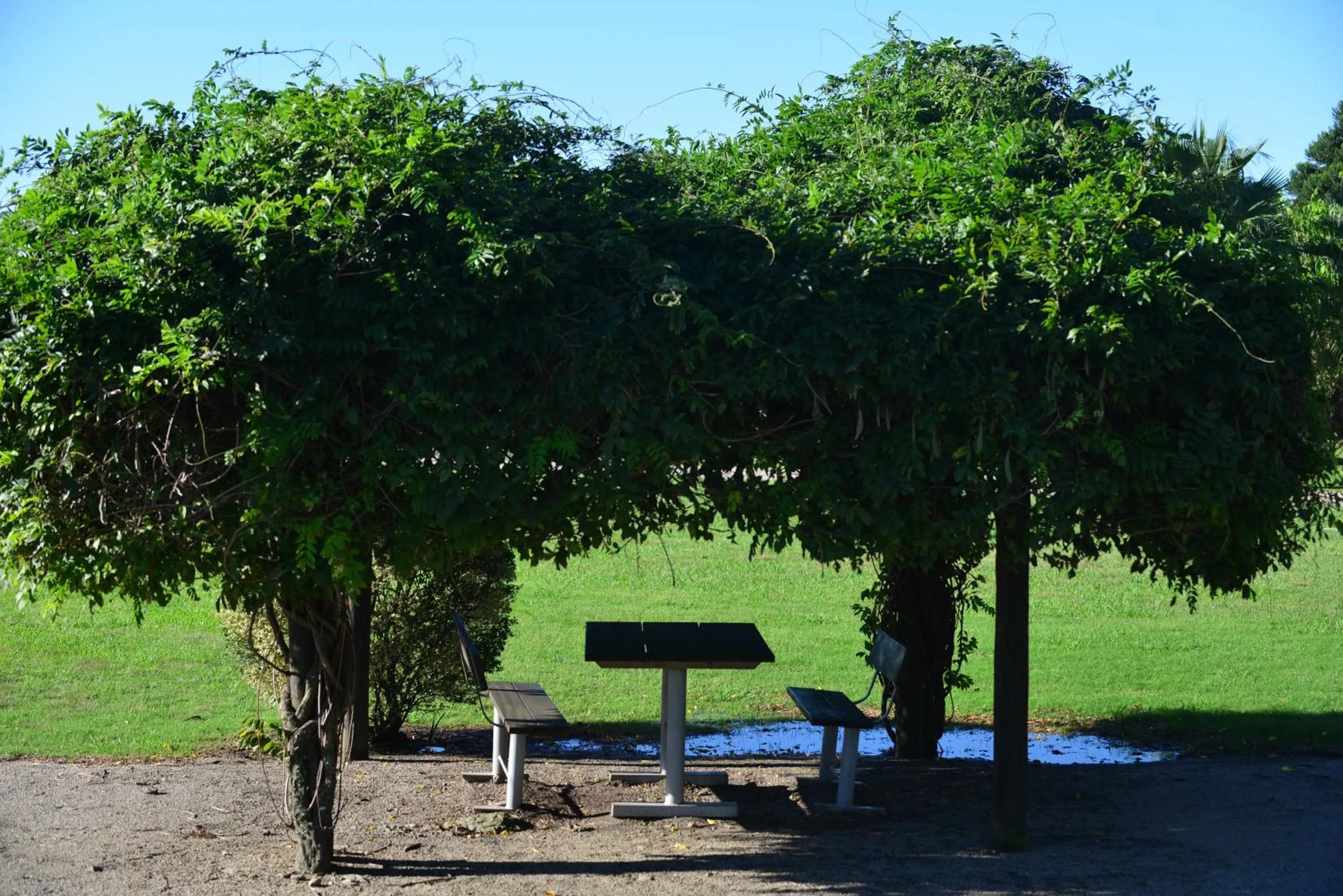 Garden in Casa del Sol Hotel & Restaurante