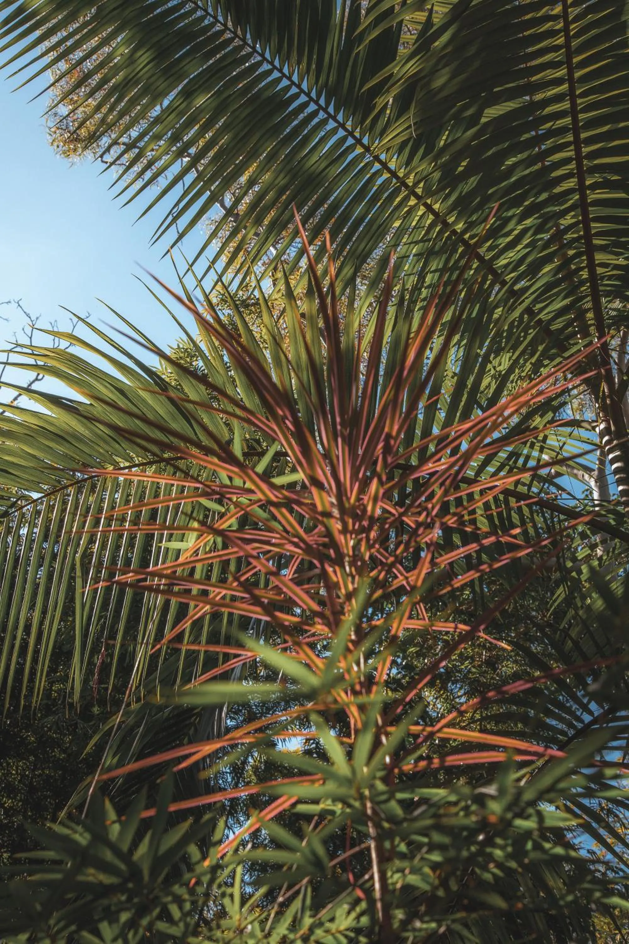 Garden in Garden Burees