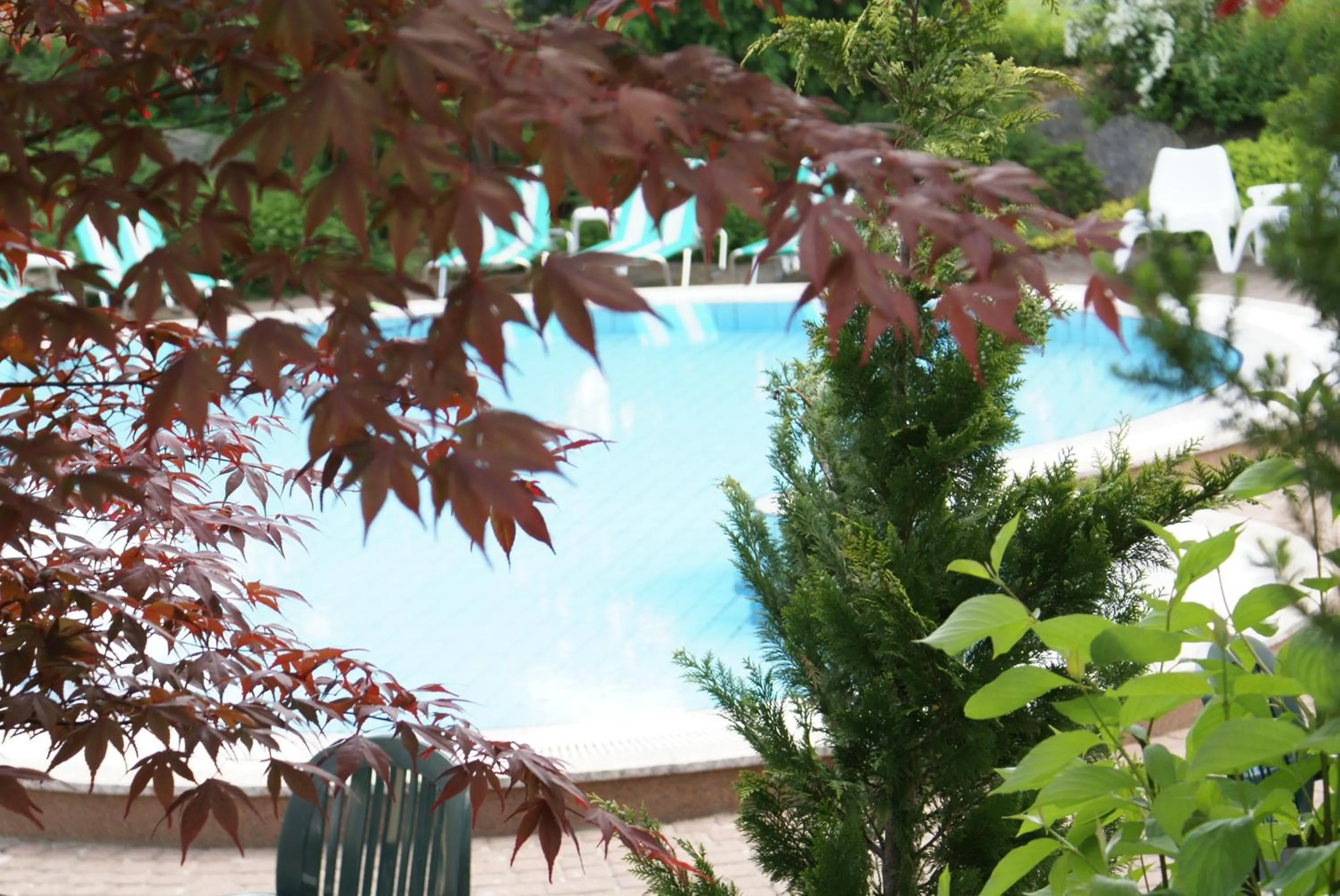 Swimming pool in Hotel Marko