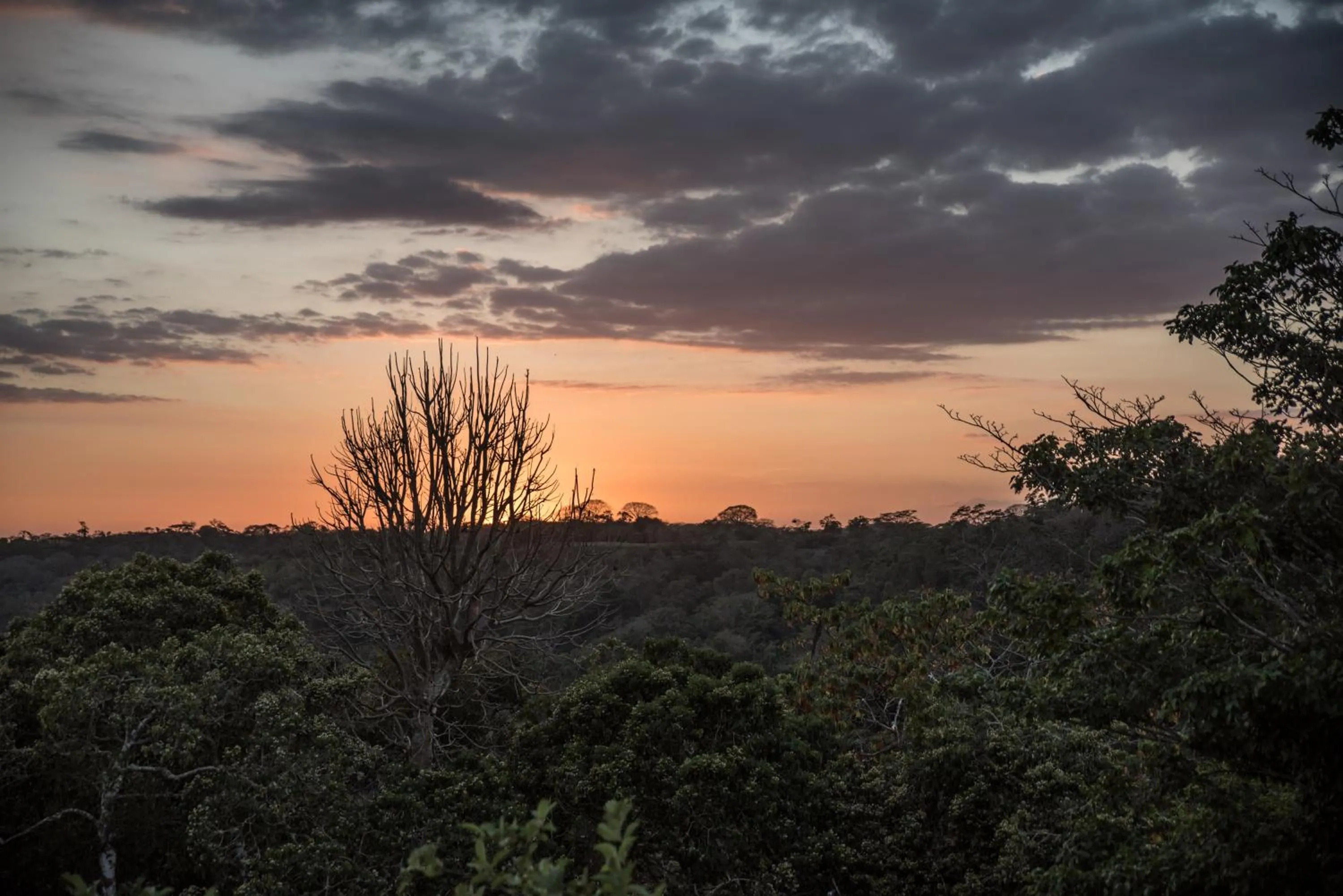 Garden view in Rancho Capulin B&B