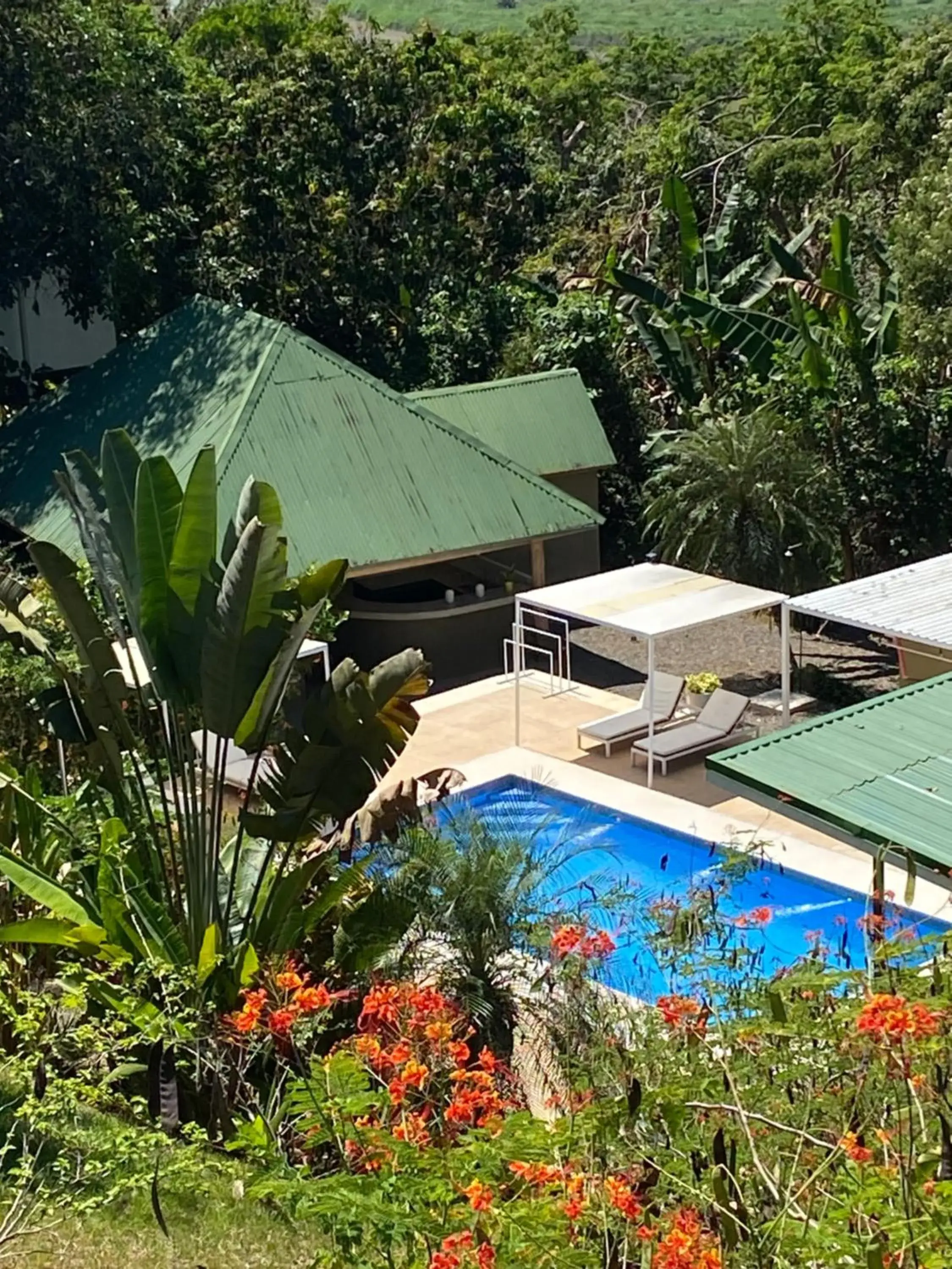 Double Room with Pool View in Rancho Capulin B&B Double Room with Pool View in Rancho Capulin B&B