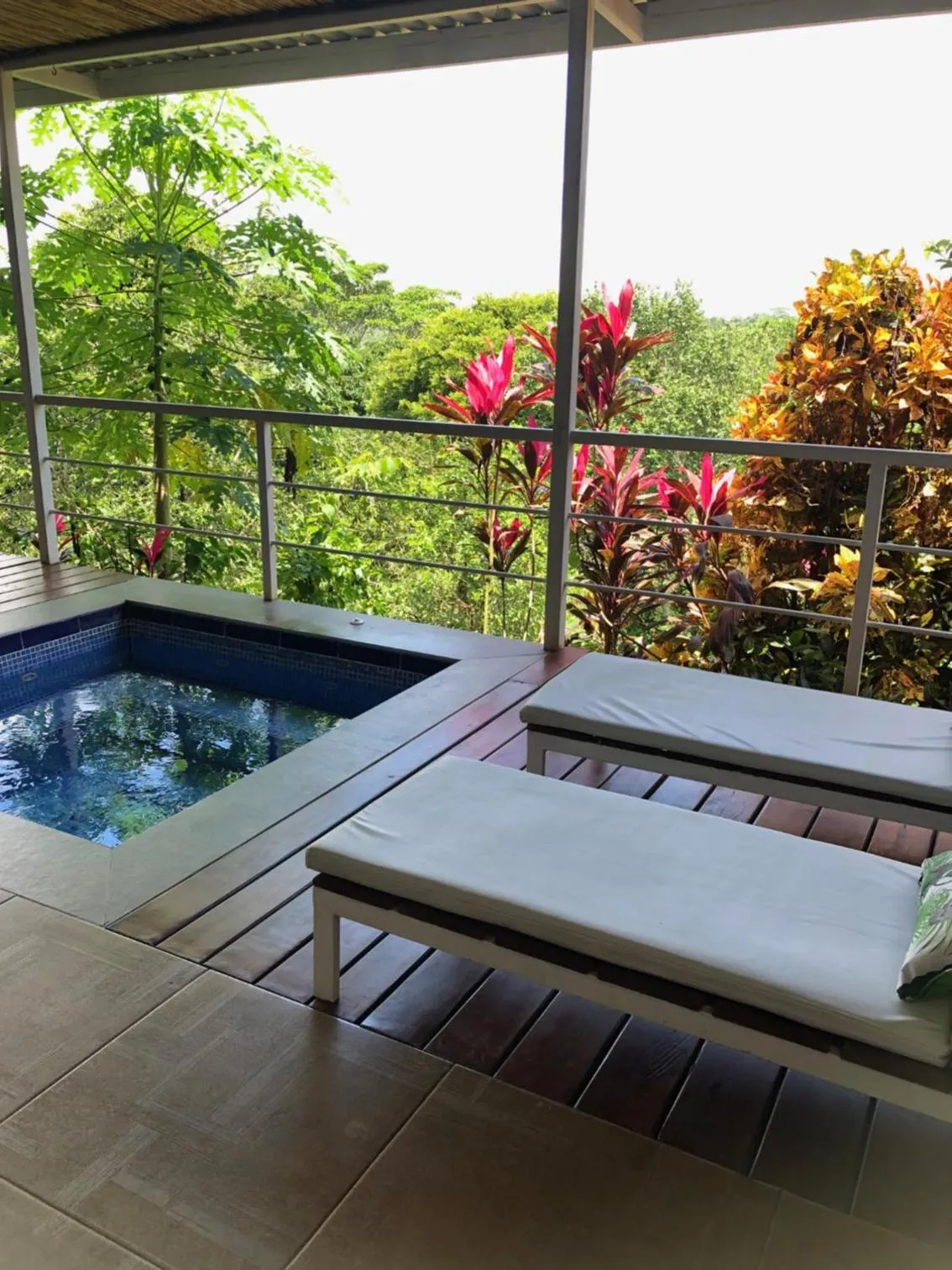 Swimming pool in Rancho Capulin B&B