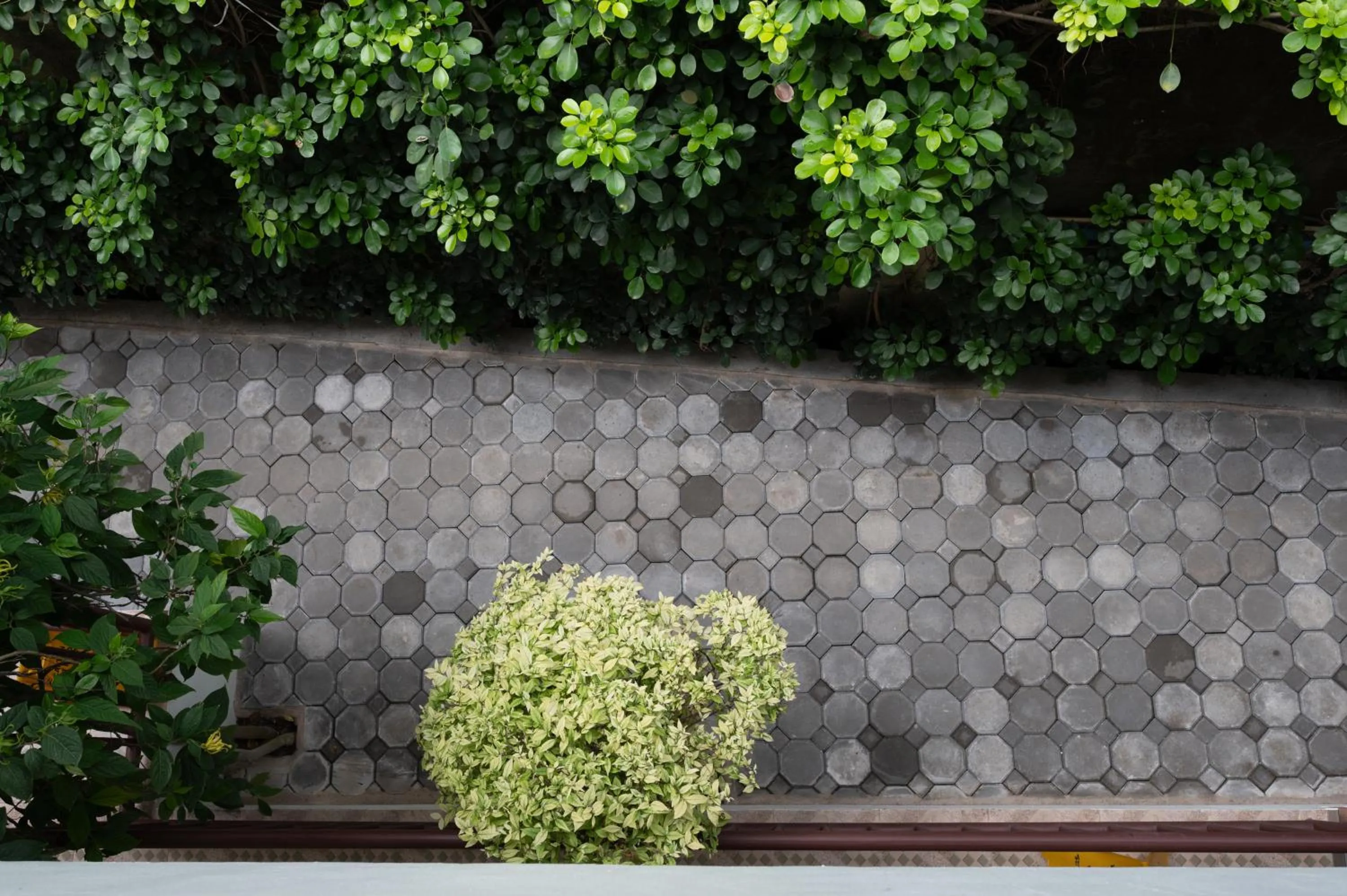 Property building in Riverside House Hotel