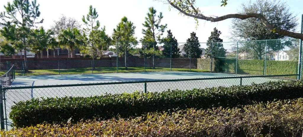 Area and facilities in Disney Luxury Villa Championsgate