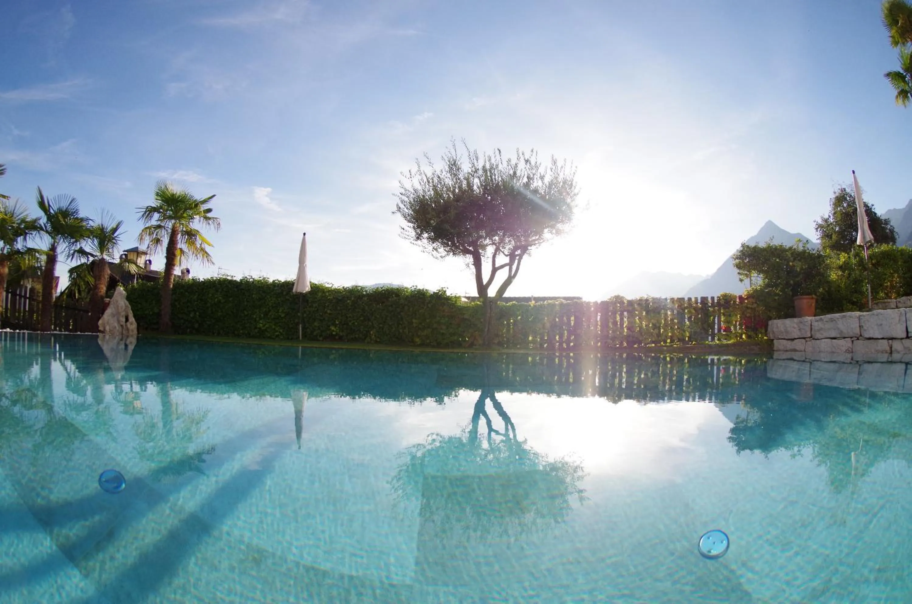 Garden in Hotel Bergland