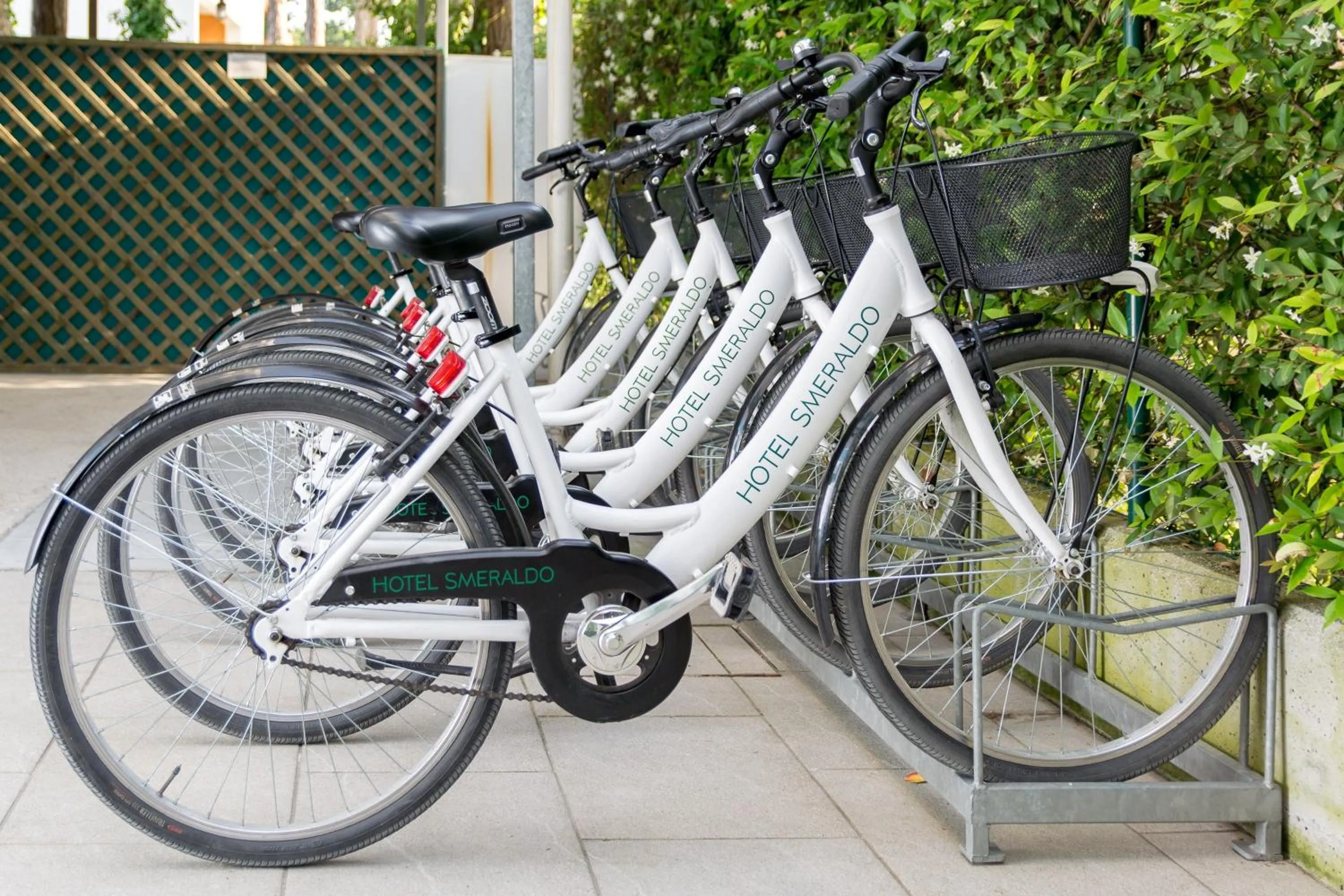 Activities in Hotel Smeraldo