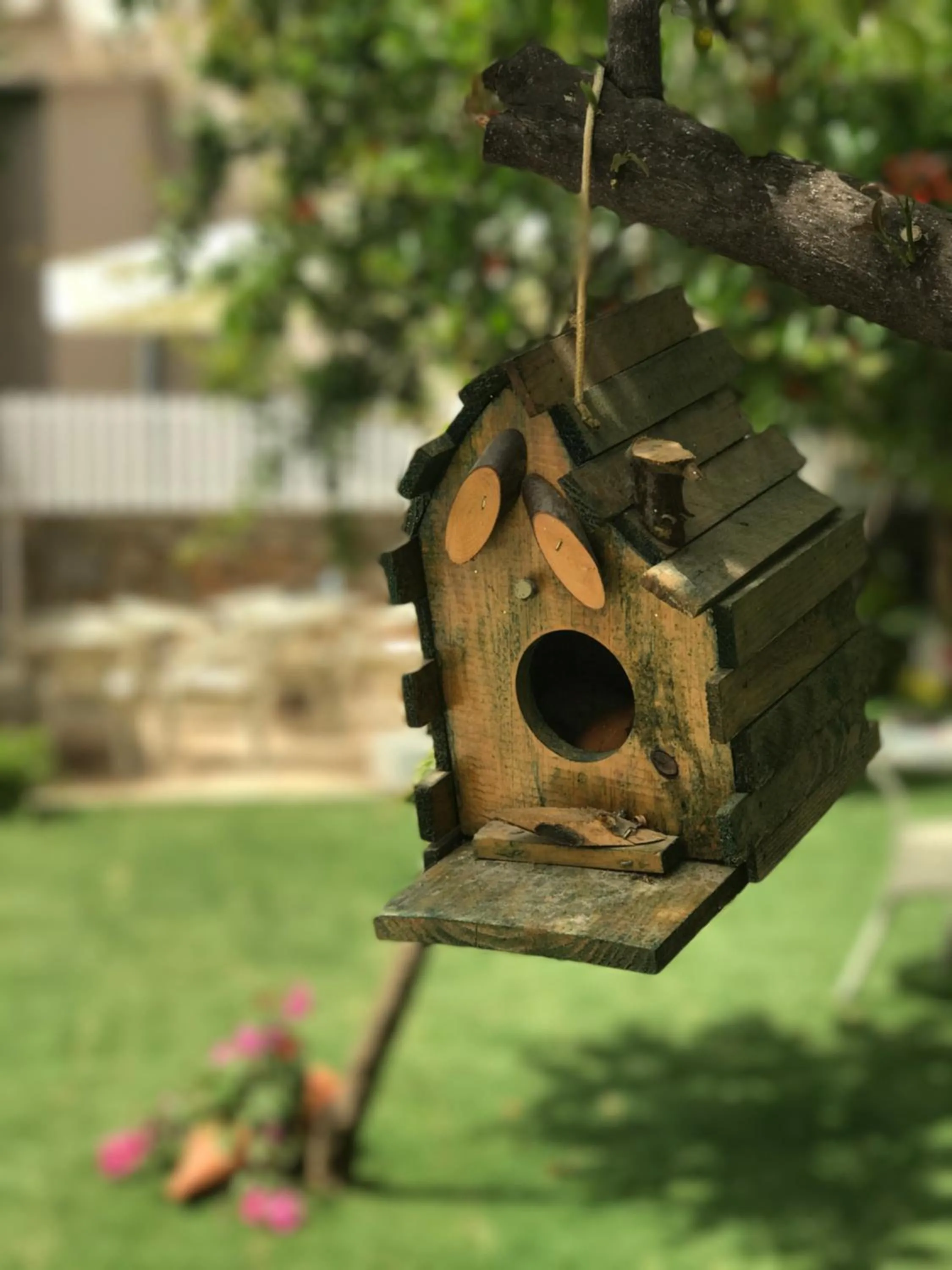 Grandma's Garden