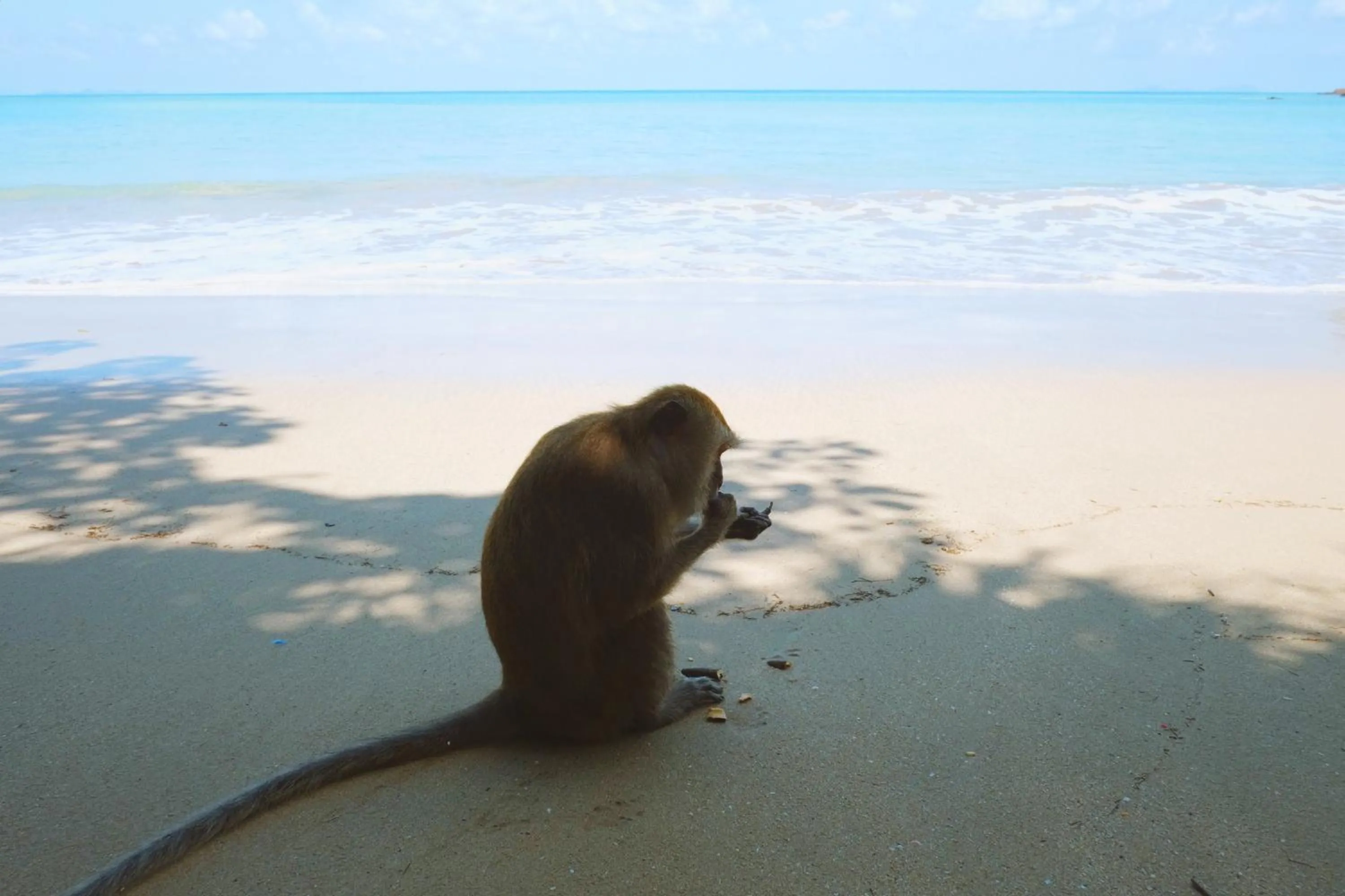 Beach in Lanta Mermaid Boutique House-Cozy Stay,Seaview, Delicious Breakfast,2 Minutes Walk to the Beach