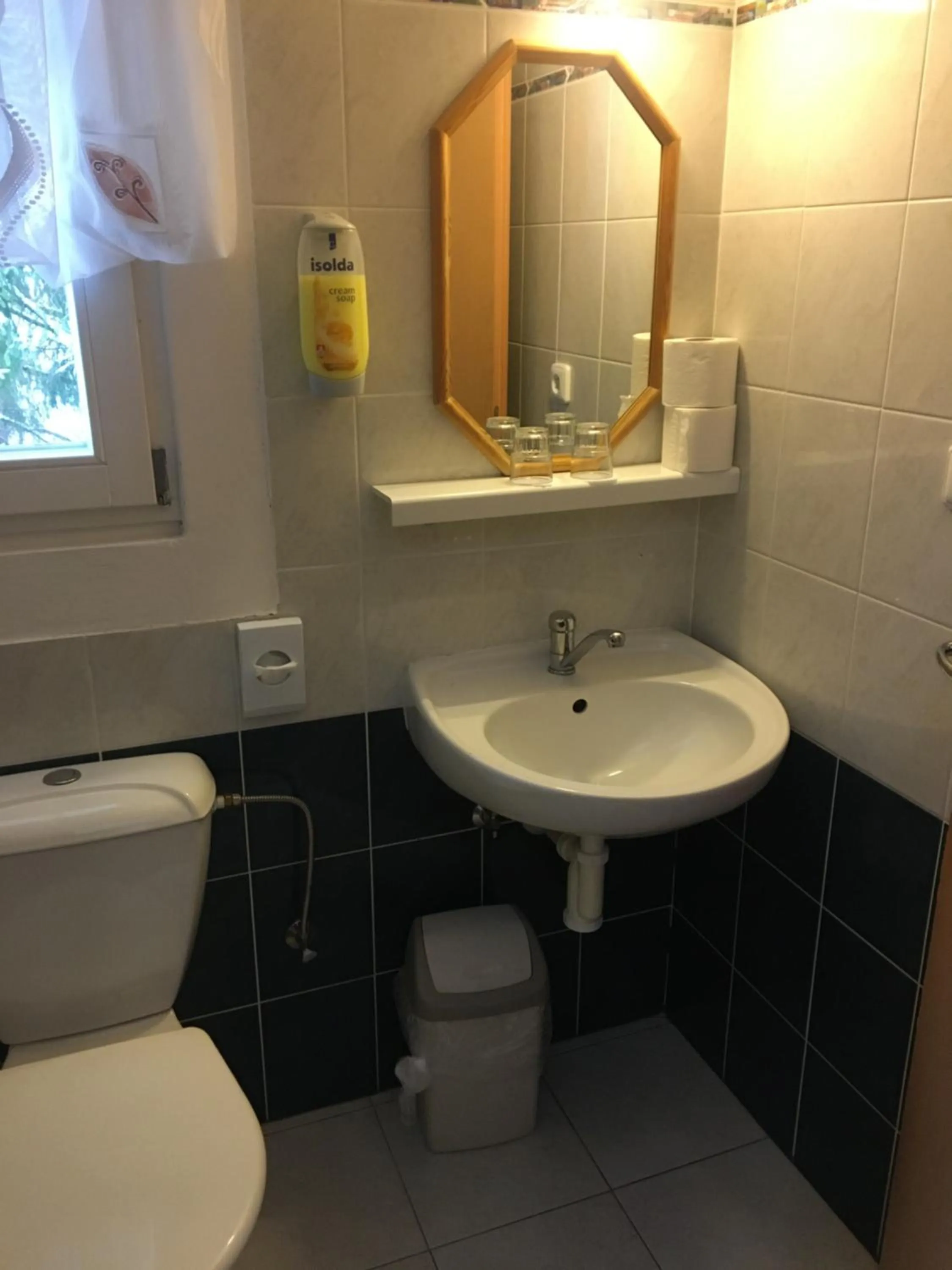 Toilet in Hotel Tři Růže