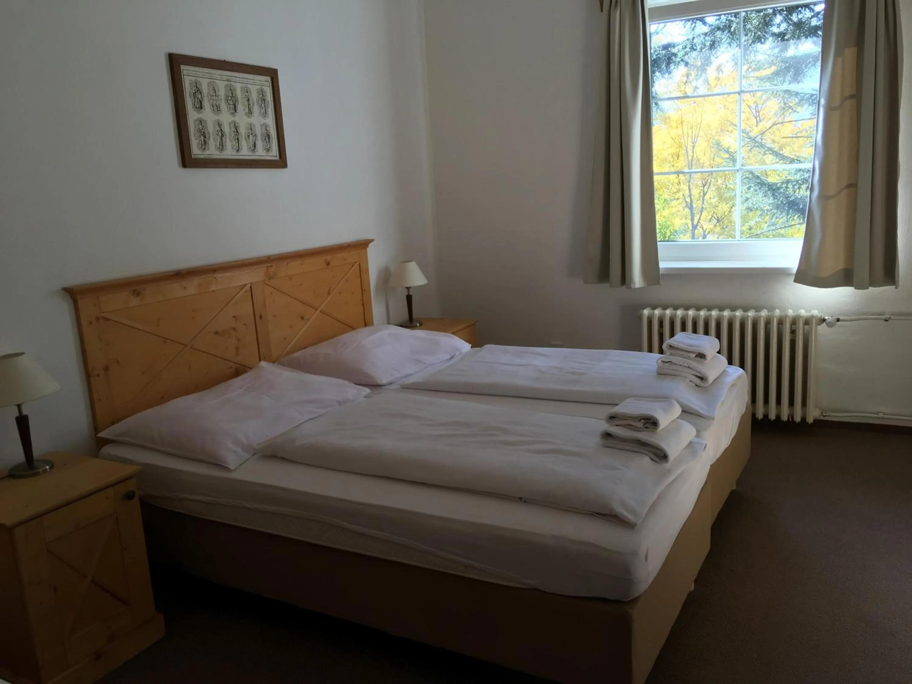 Bed in Hotel Tři Růže