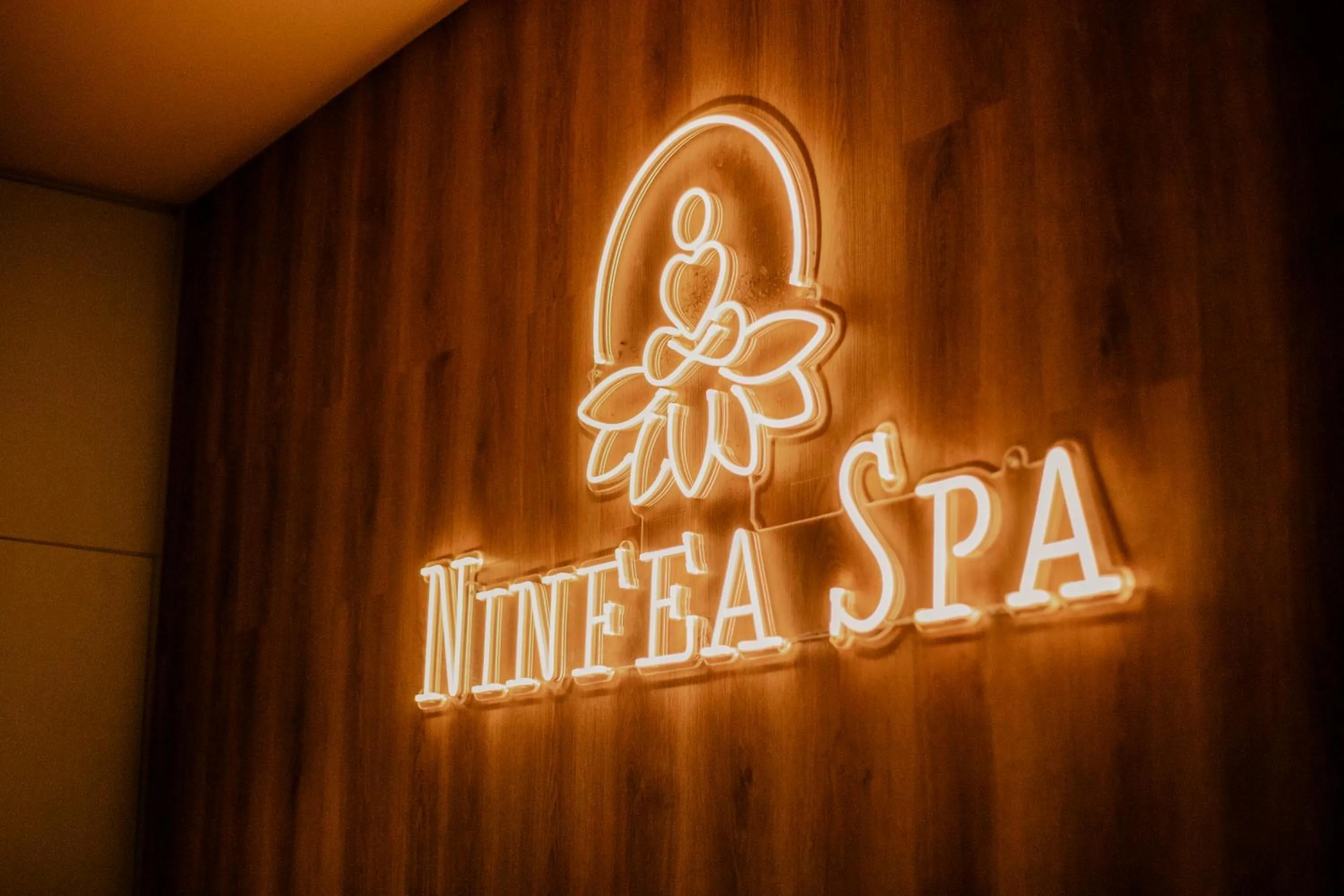 Spa and wellness centre/facilities in Hotel Del Lago Piediluco Active & SPA