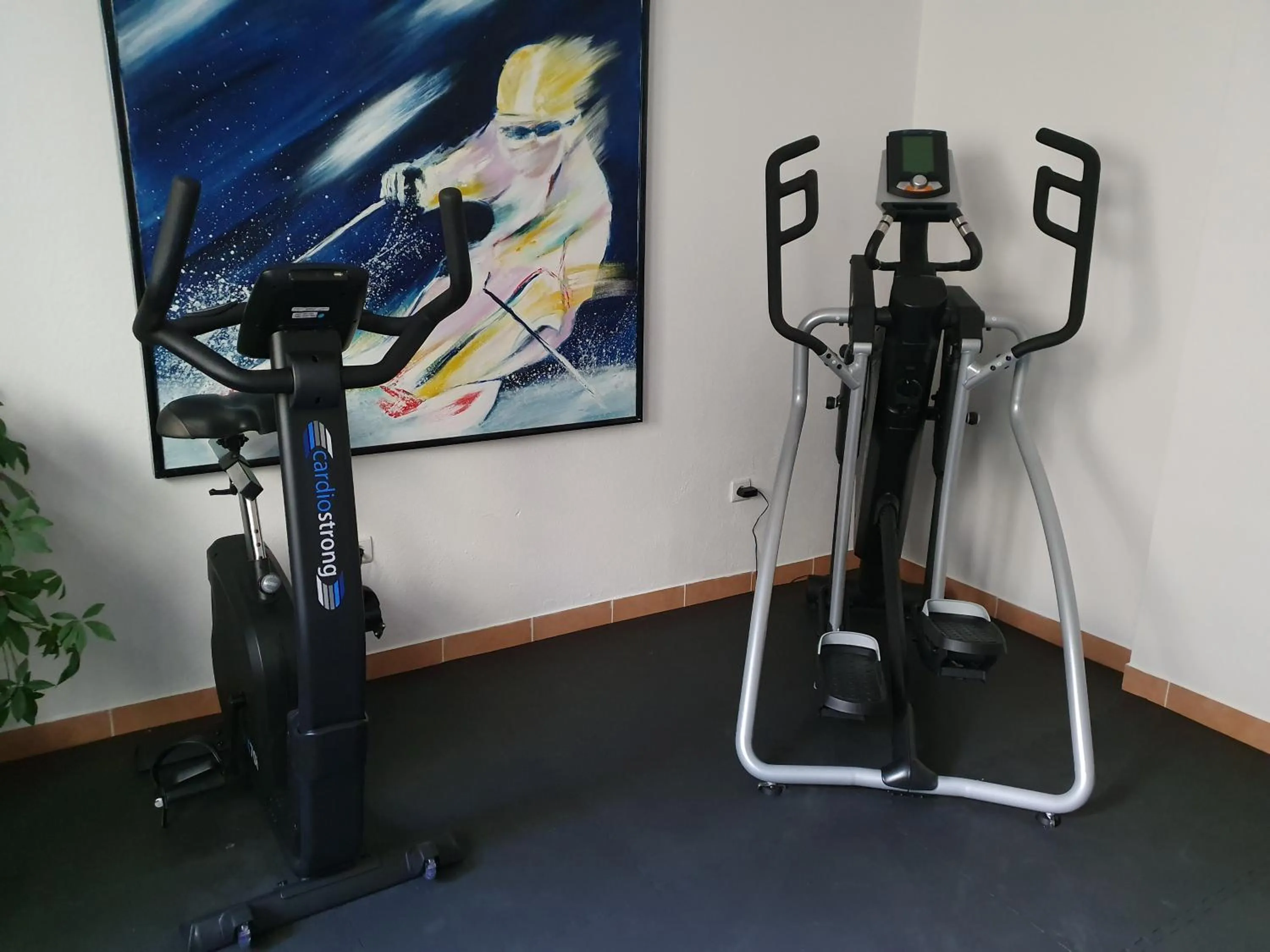 Fitness centre/facilities in Raffl's Hotel