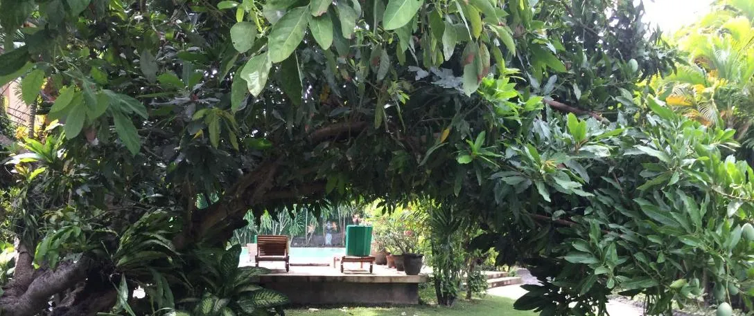 Swimming pool in Raja Gardens Hotel
