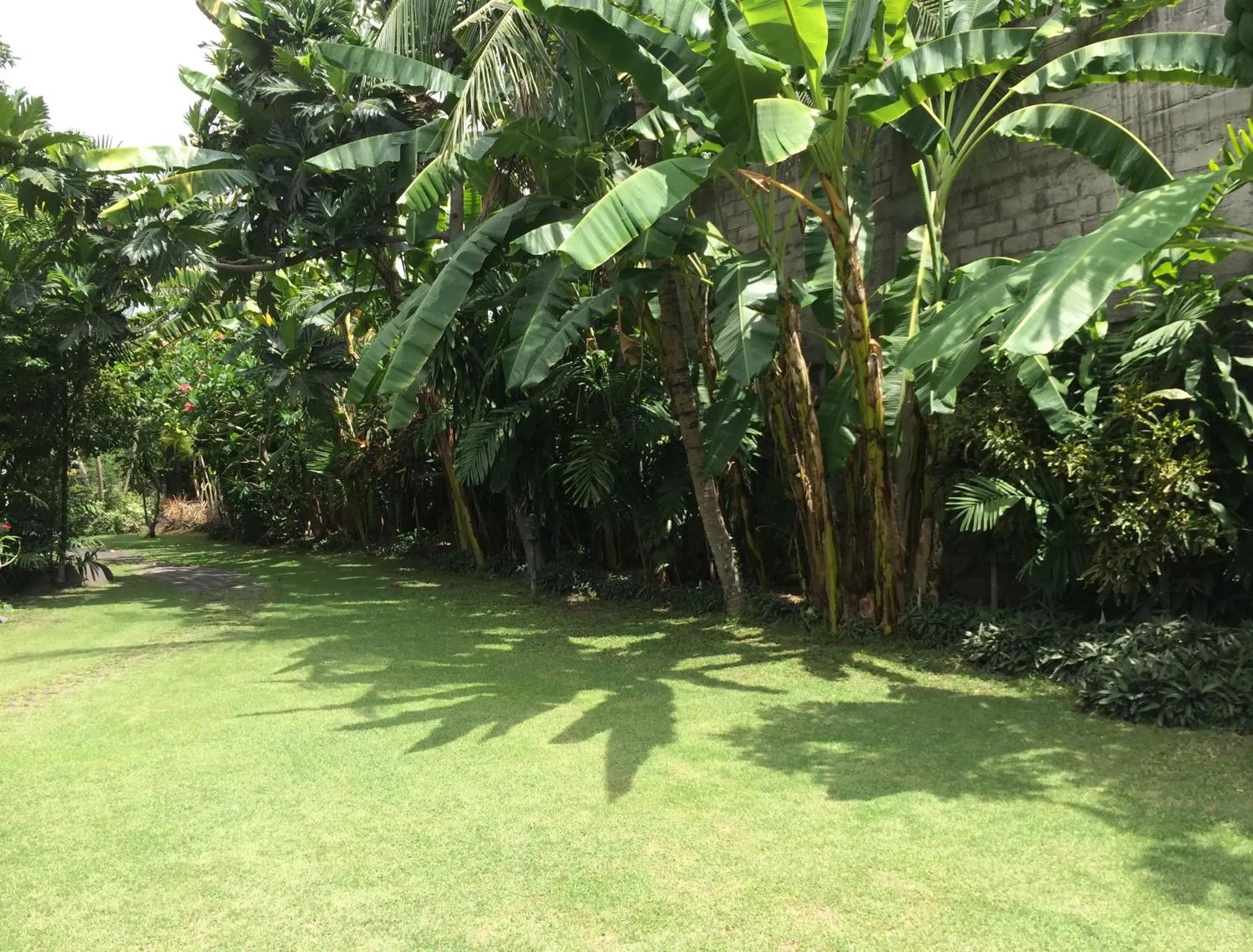 Garden view in Raja Gardens Hotel