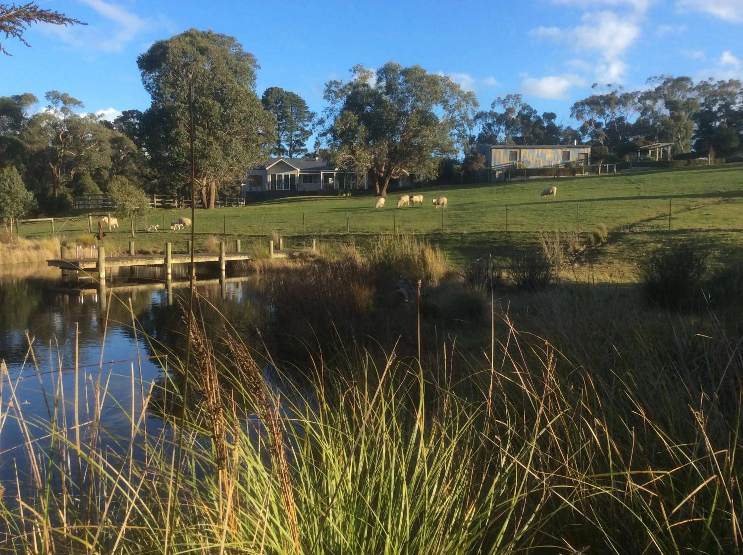 Lake view in Haven Red Hill