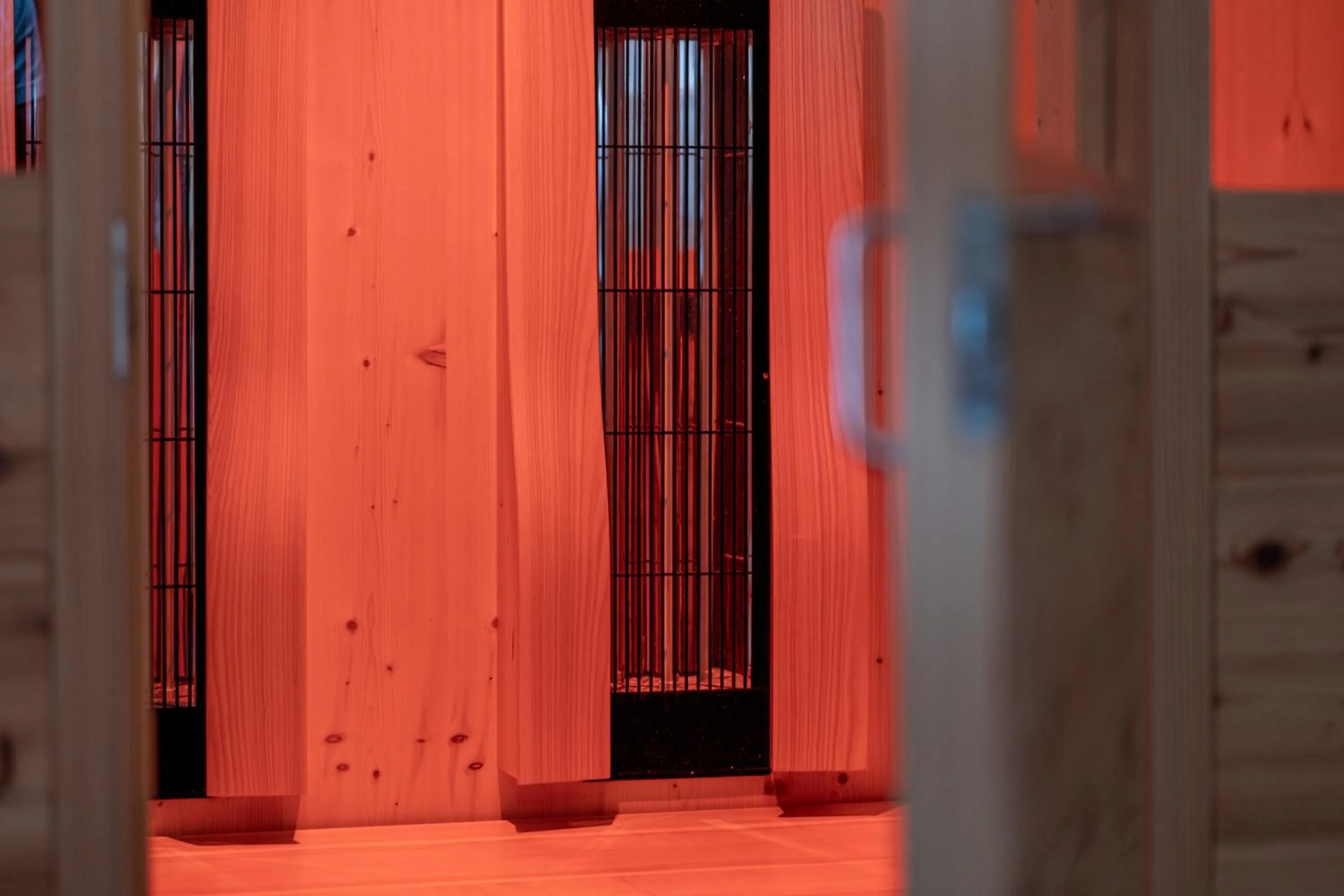 Spa and wellness centre/facilities in Genusshotel Alpenblick