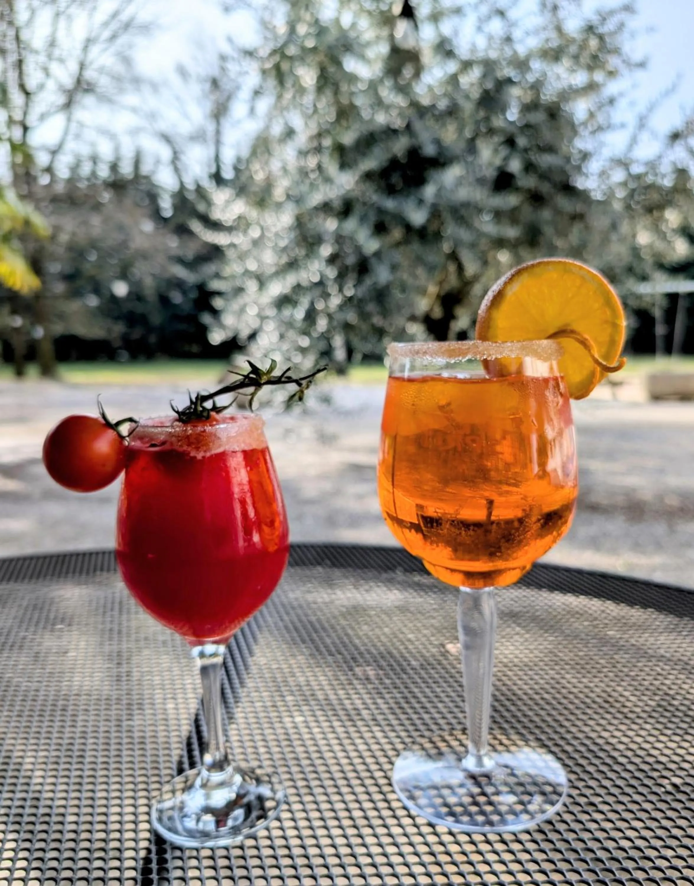 Patio in Best Western Alexander Park Chambéry