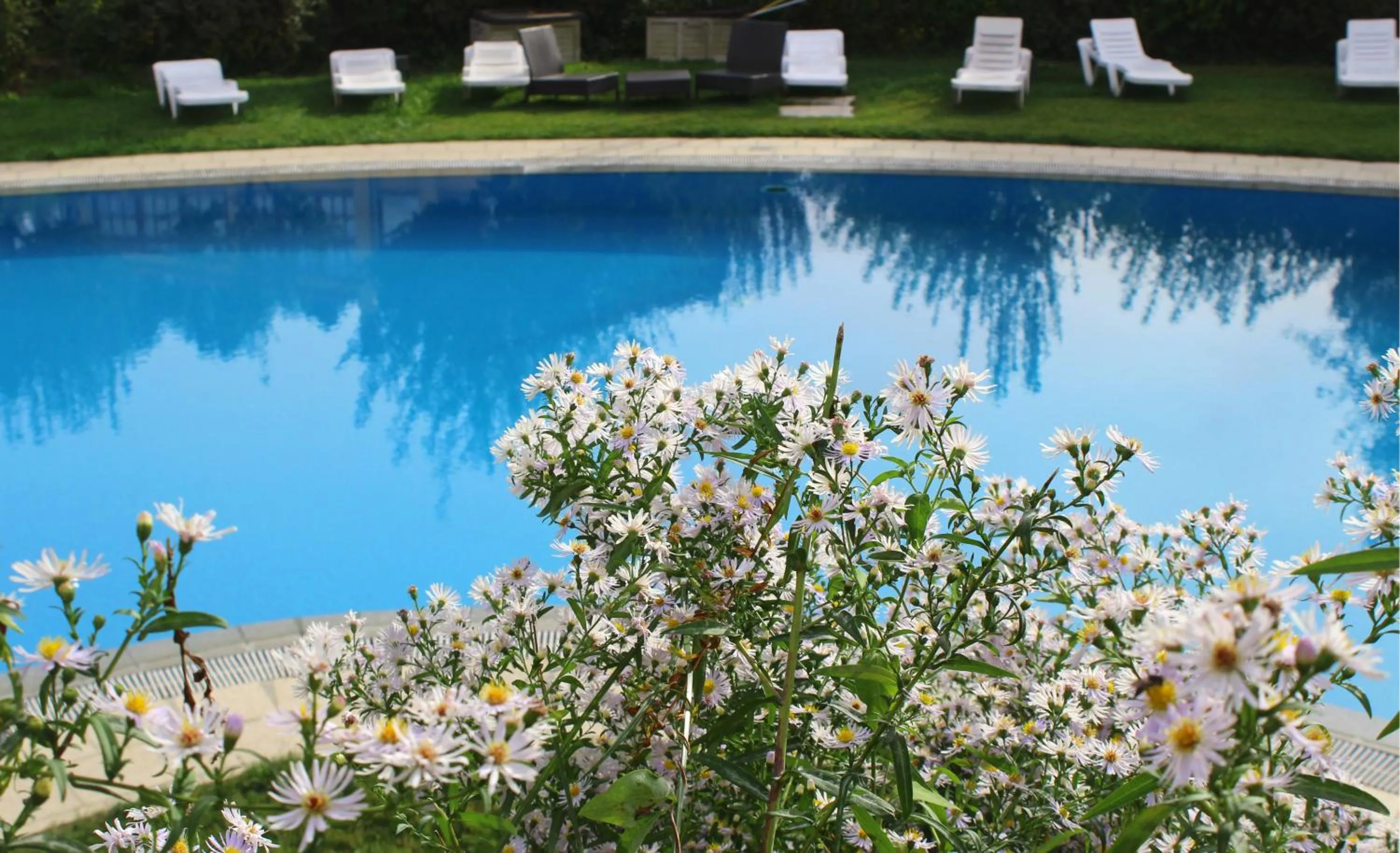 Day in Quinta Do Crestelo Aparthotel