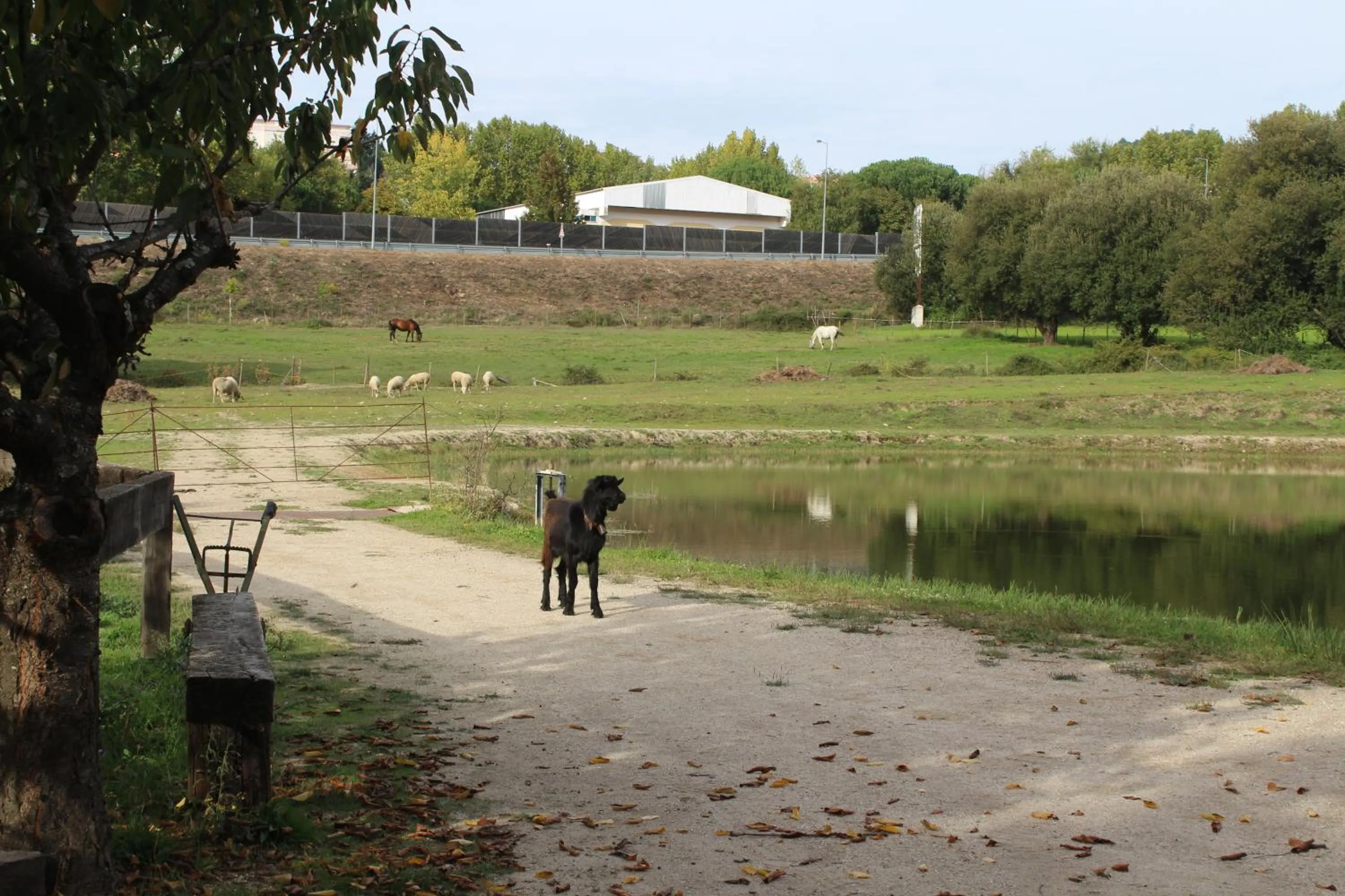 Day in Quinta Do Crestelo Aparthotel