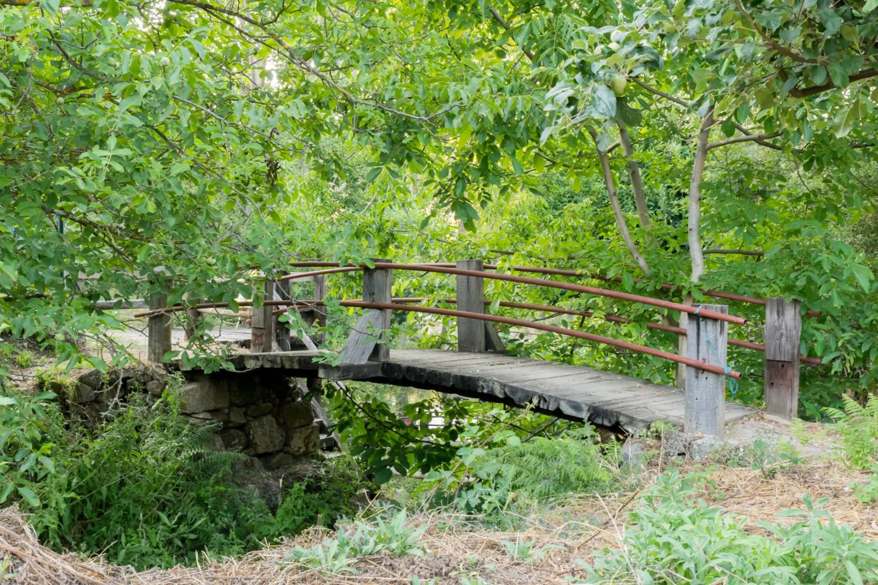 Natural landscape in Quinta Do Crestelo Aparthotel