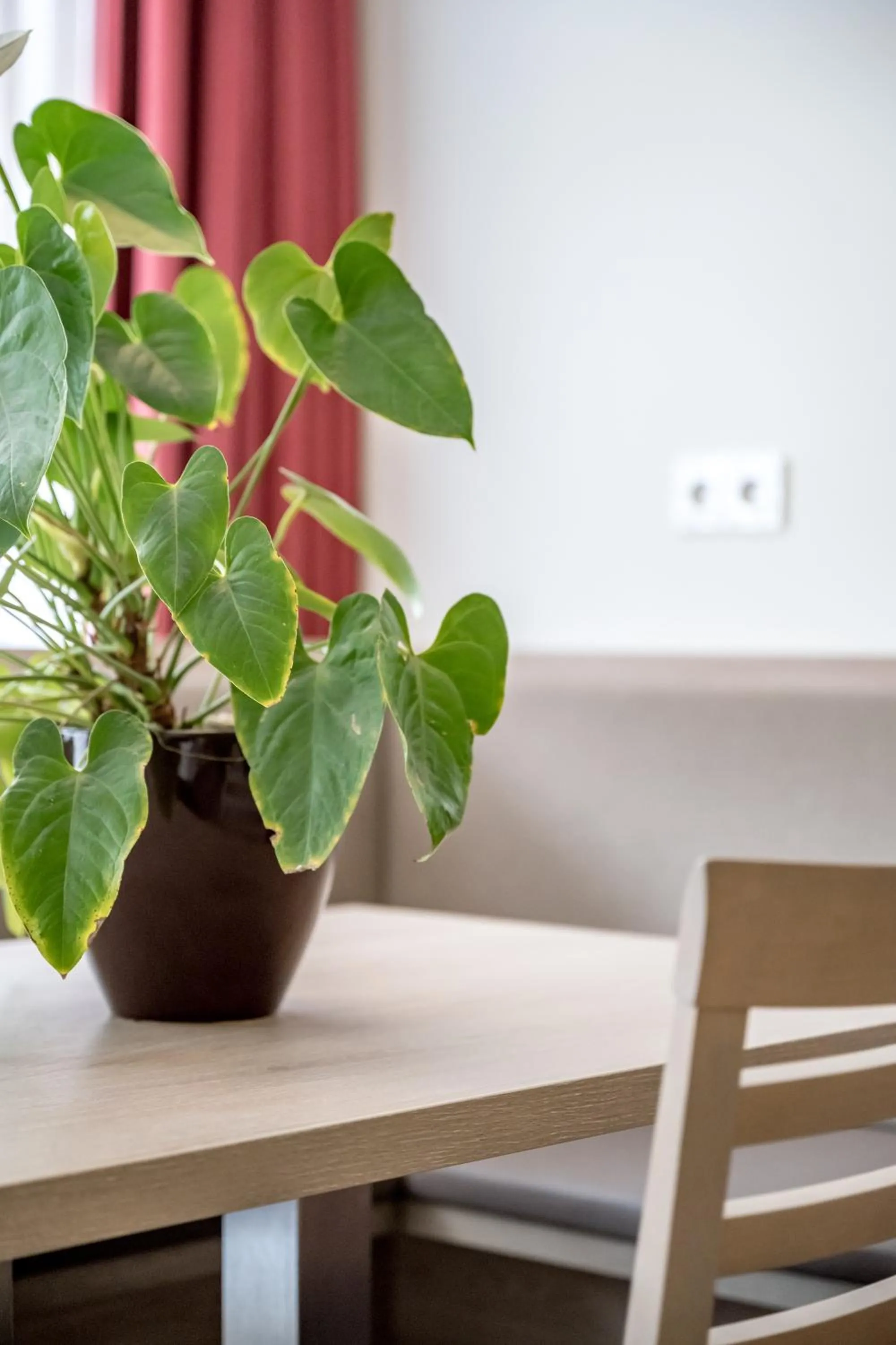 Living room in all inclusive Hotel Lohmann