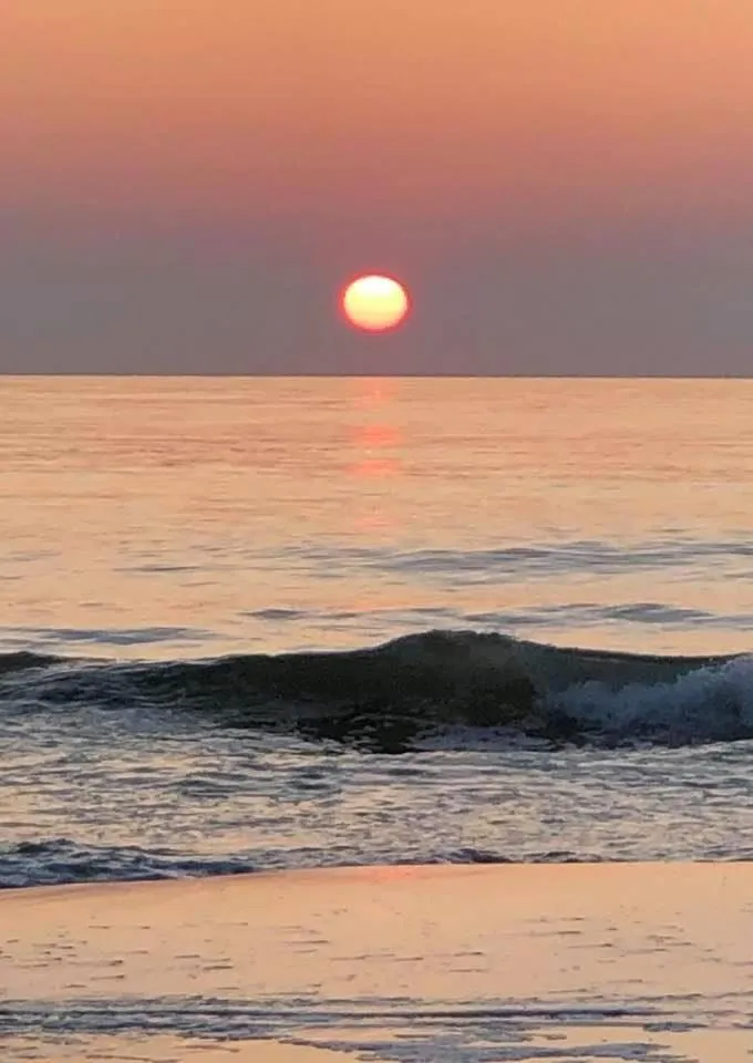 Hotel Havenzicht Texel