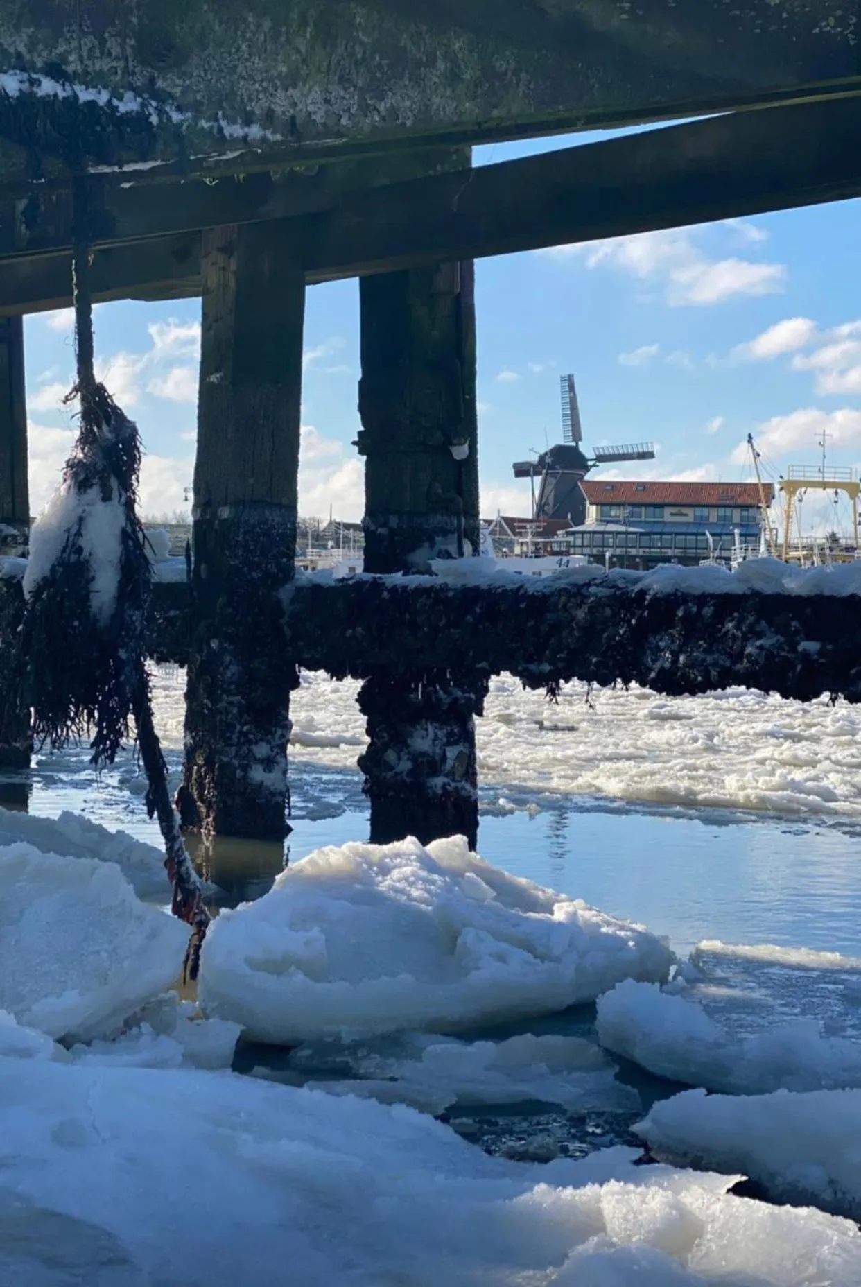 Hotel Havenzicht Texel