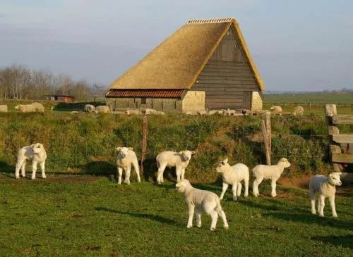 Hotel Havenzicht Texel