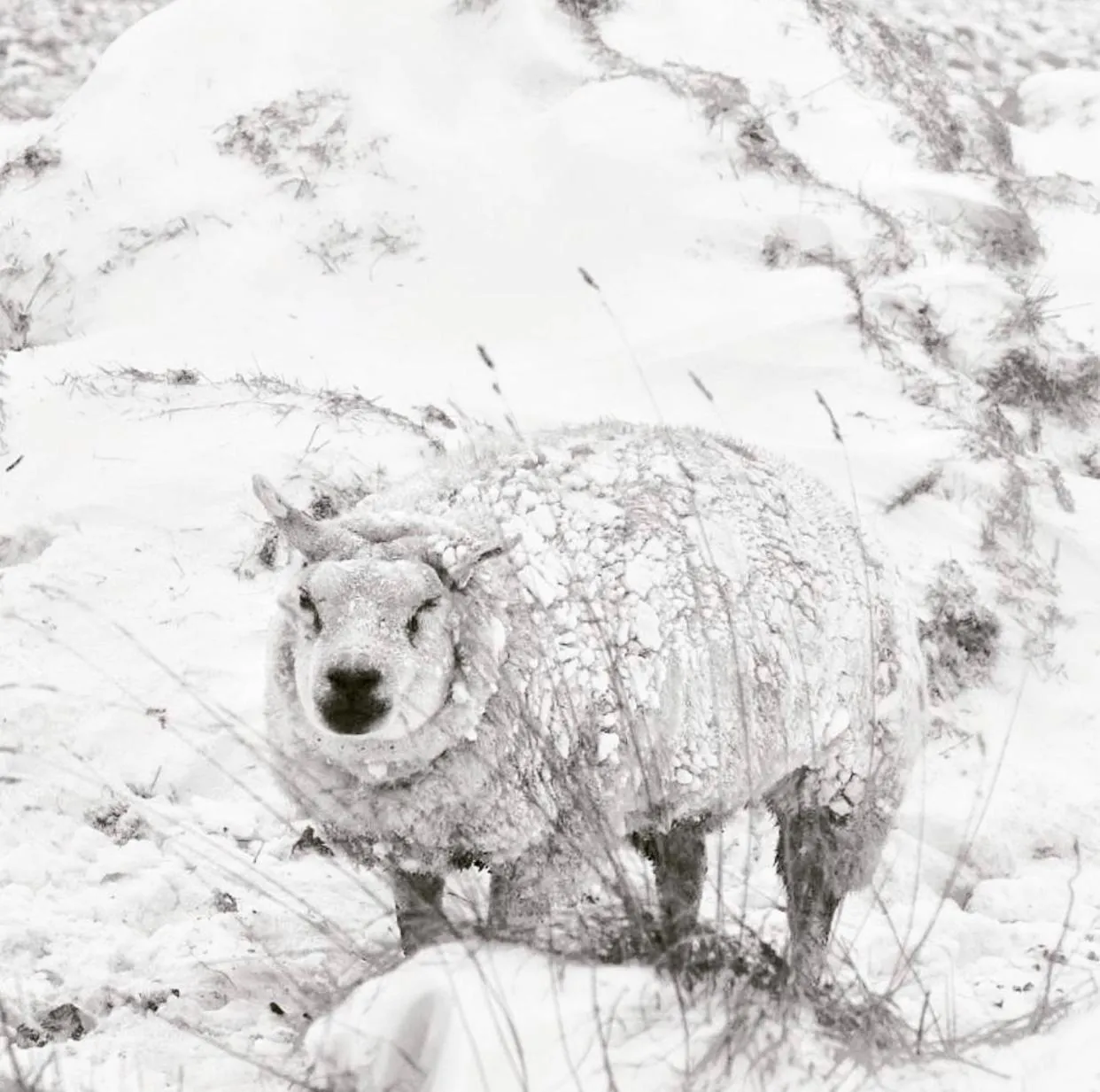 Hotel Havenzicht Texel