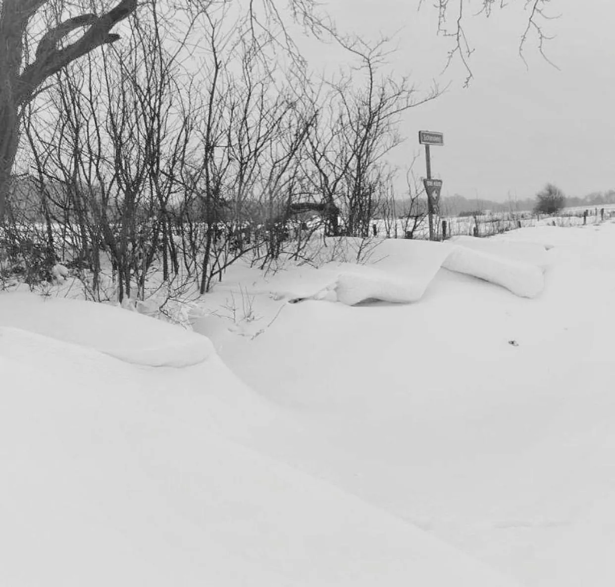 Hotel Havenzicht Texel