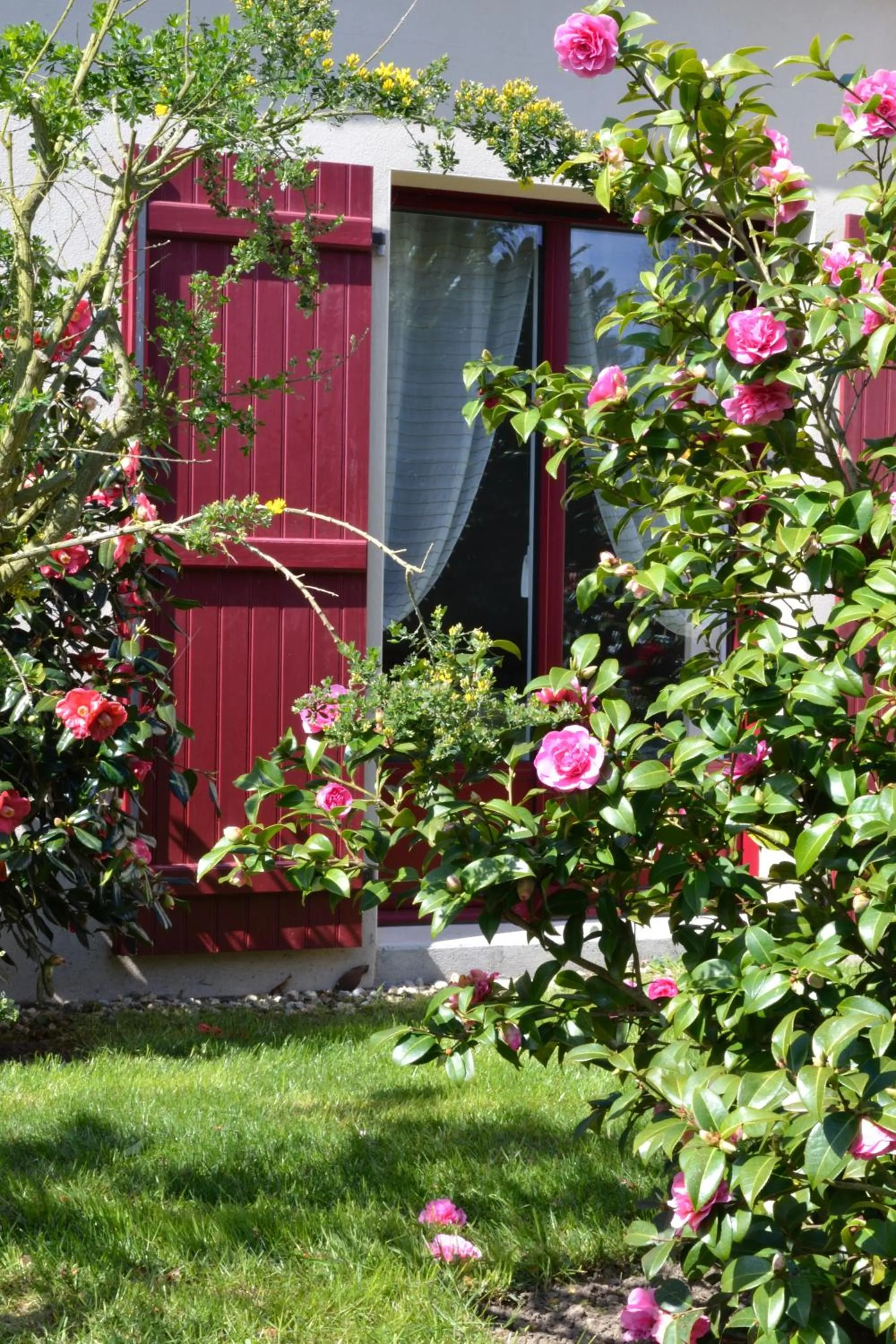 View (from property/room) in Le Tertre Gatinais