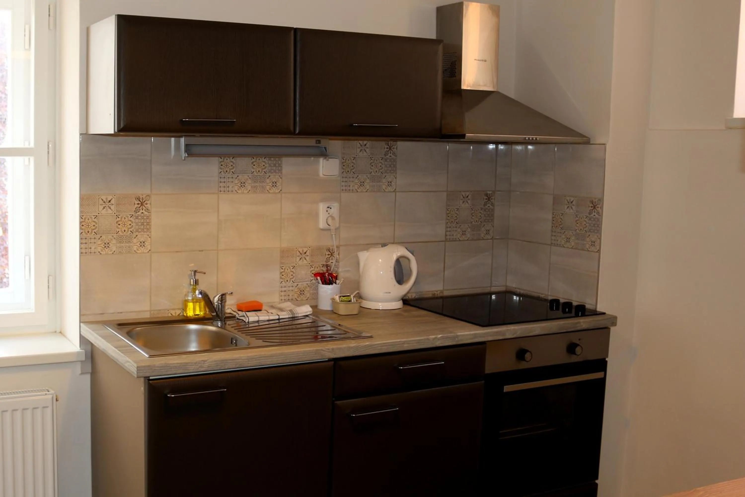 pet friendly in Betlem Prague Apartments