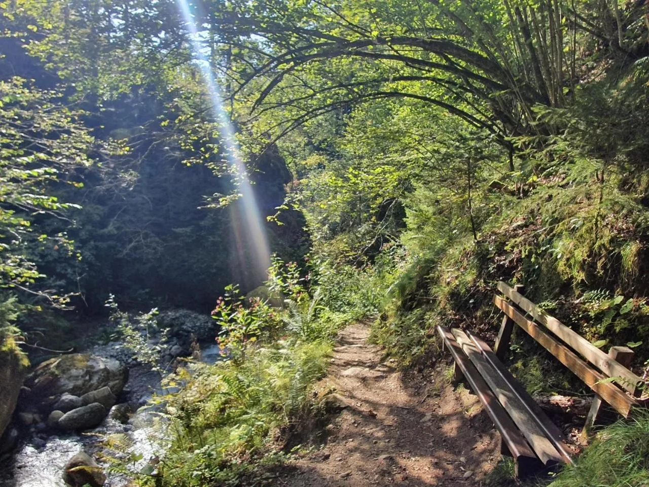 Natural landscape in Haus Kraller-Urlaub mit Seeblick