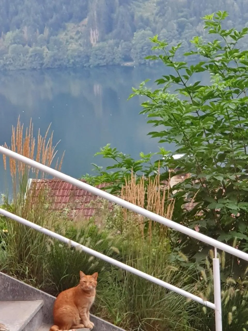 Area and facilities in Haus Kraller-Urlaub mit Seeblick