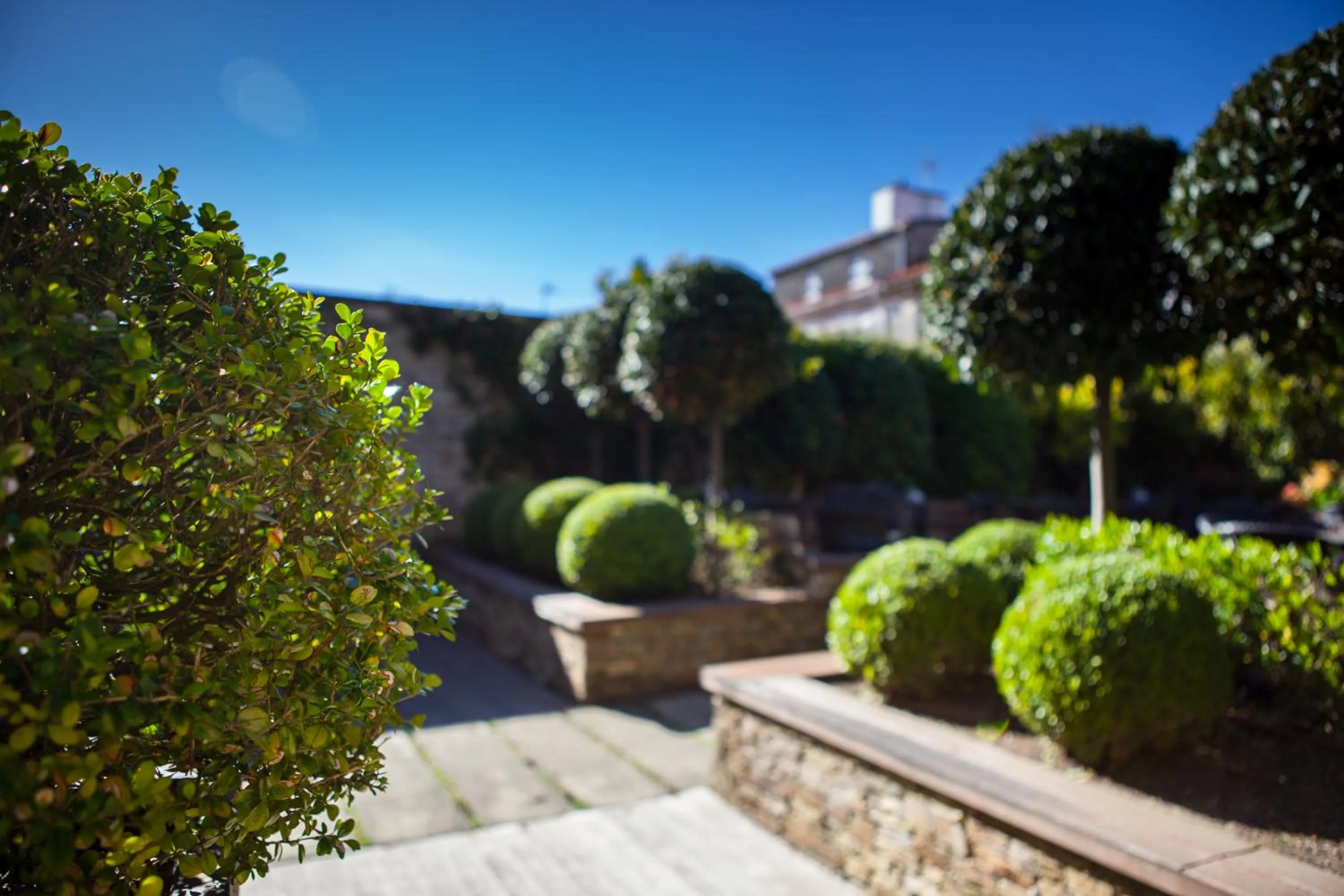 Patio in Hotel San Miguel