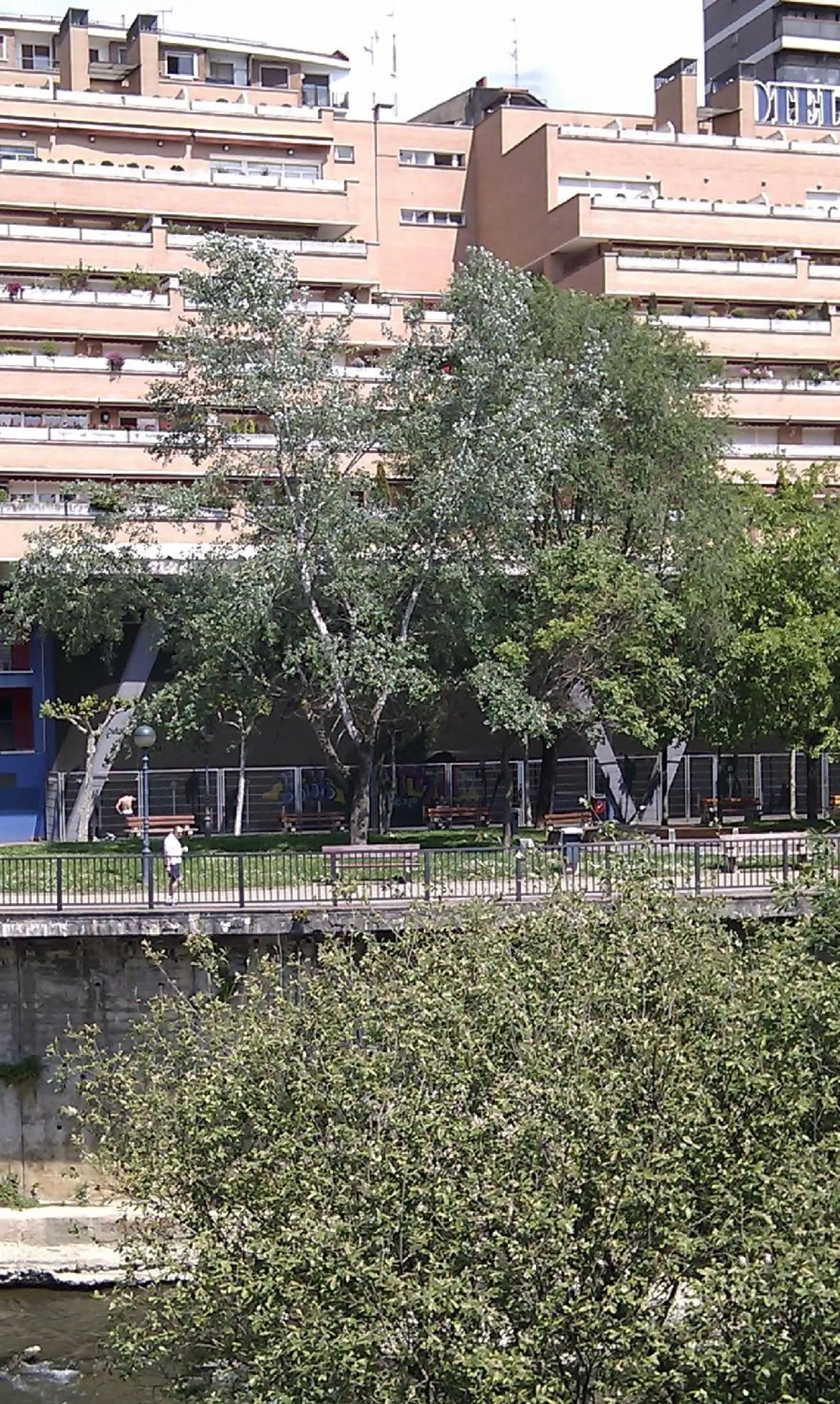 Mountain view in Hotel Armiñe