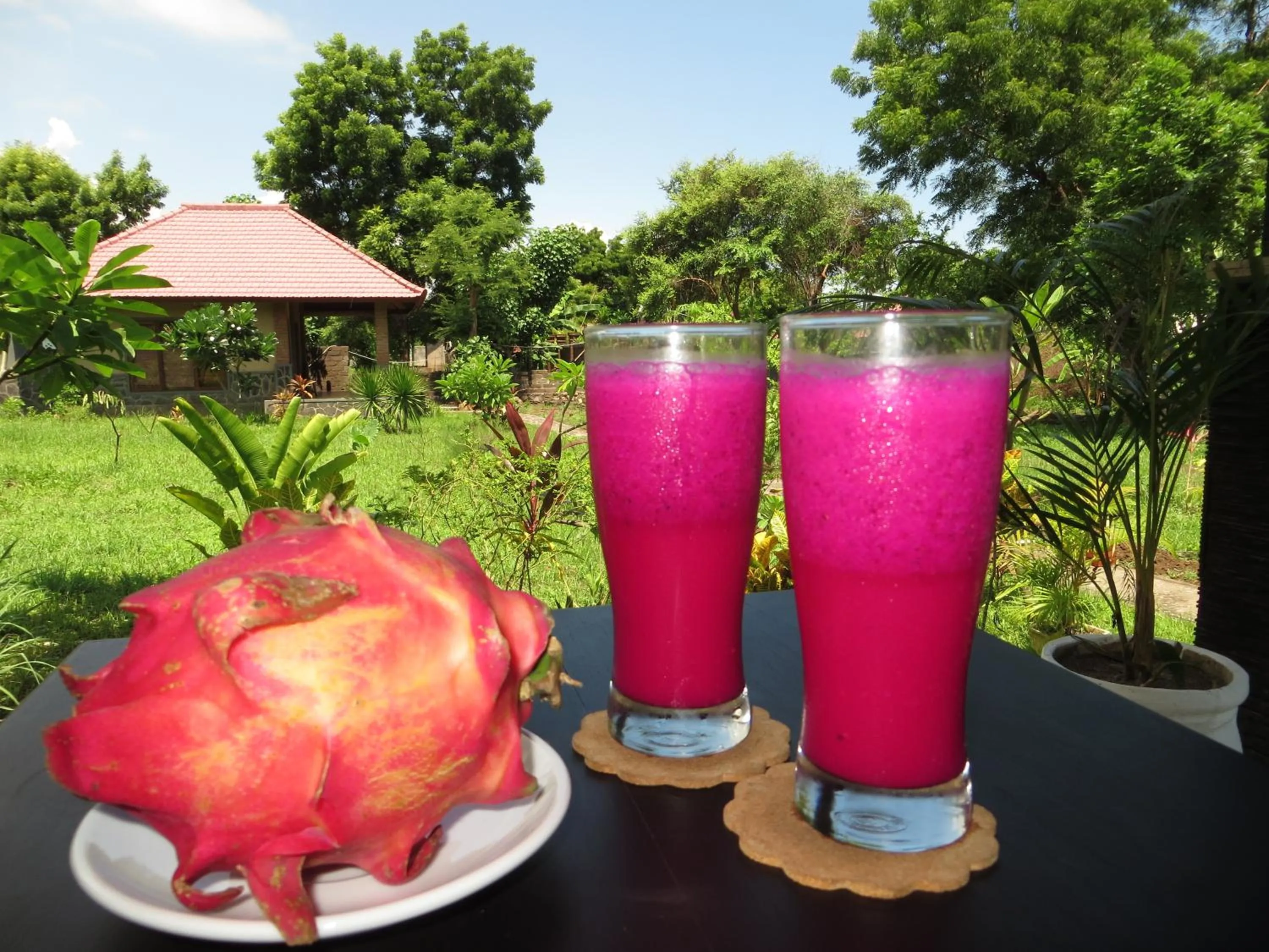 Food in TEGAL SARI, Pemuteran- North Bali