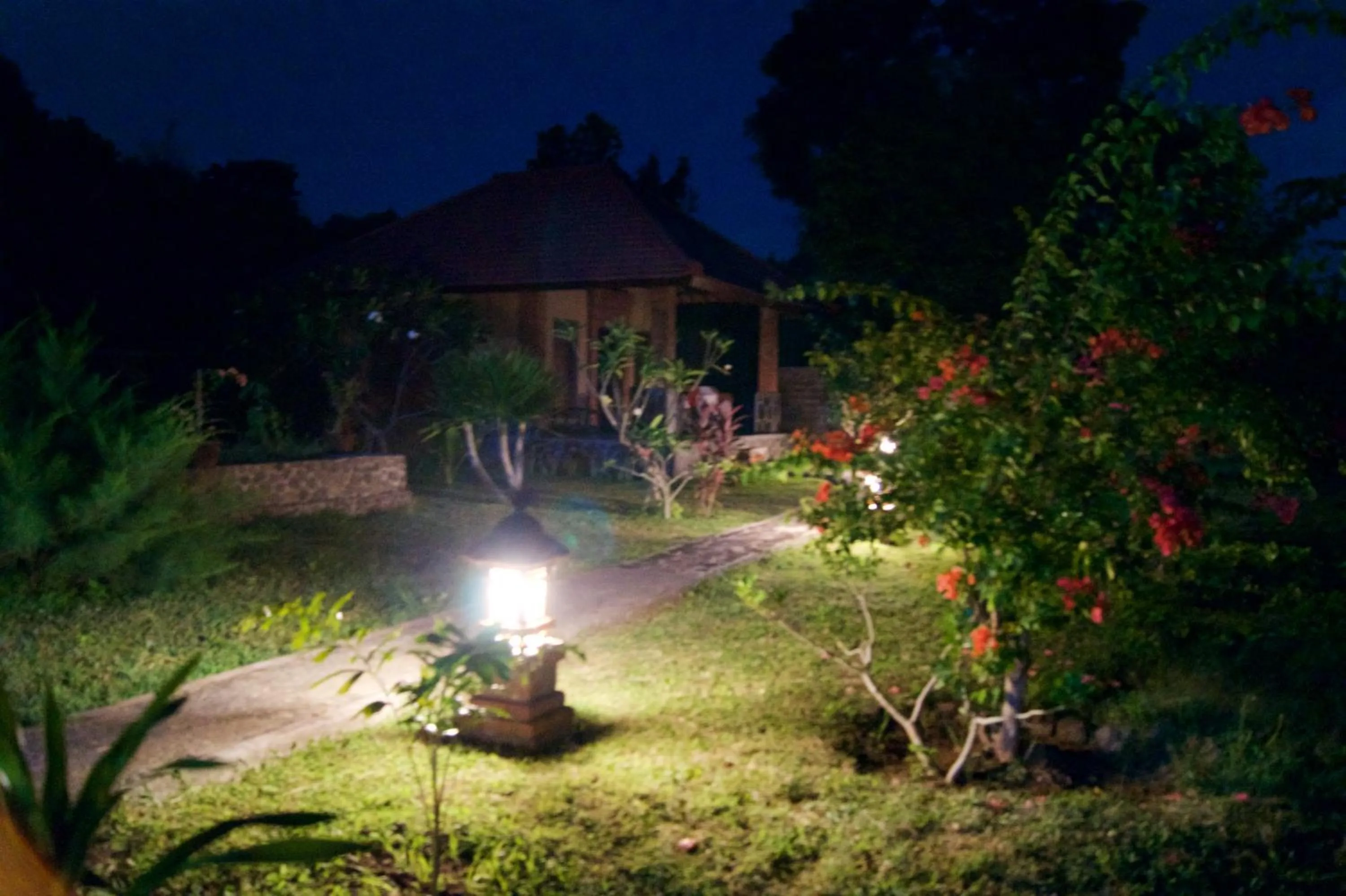 Night in TEGAL SARI, Pemuteran- North Bali