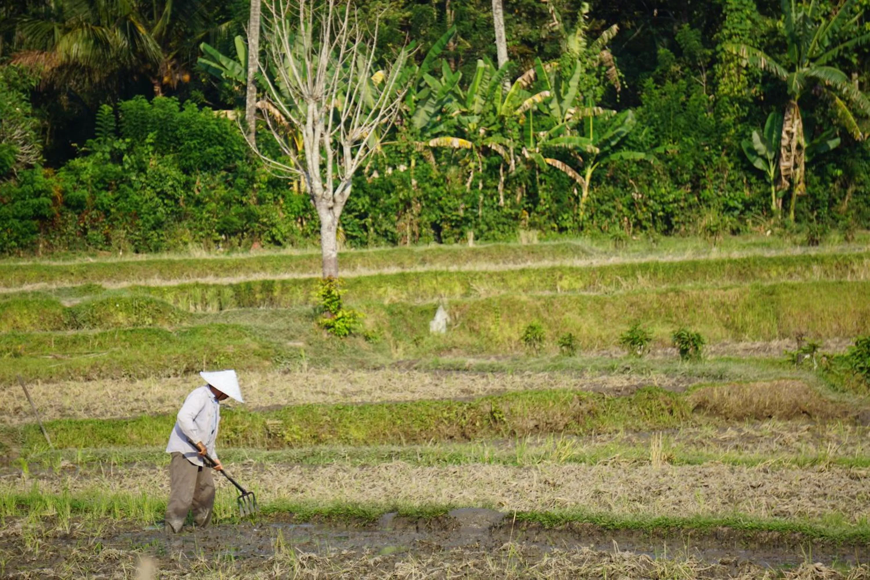 People in TEGAL SARI, Pemuteran- North Bali
