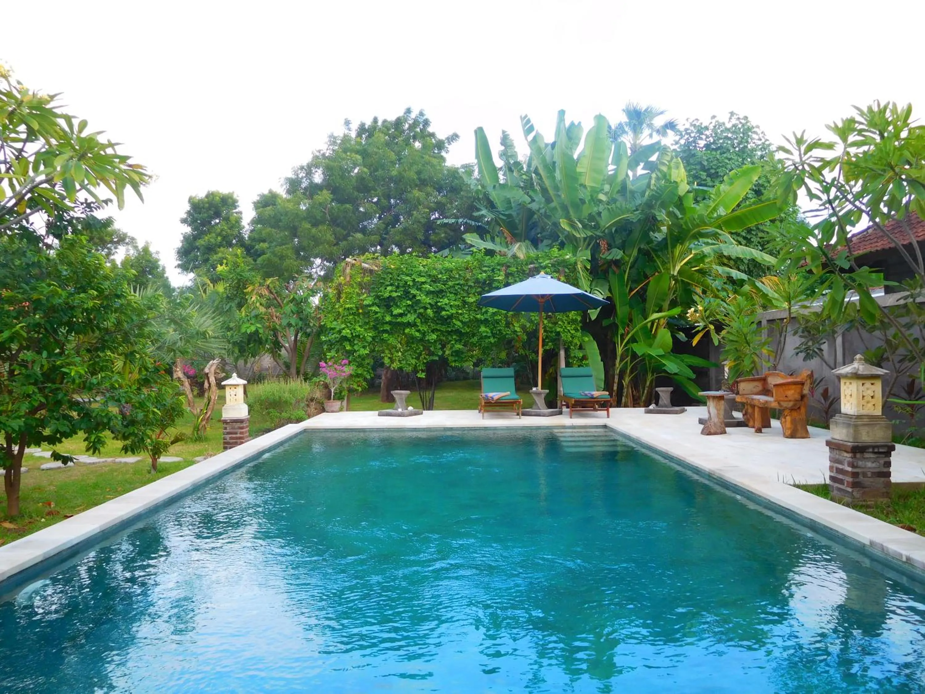 Pool view in TEGAL SARI, Pemuteran- North Bali