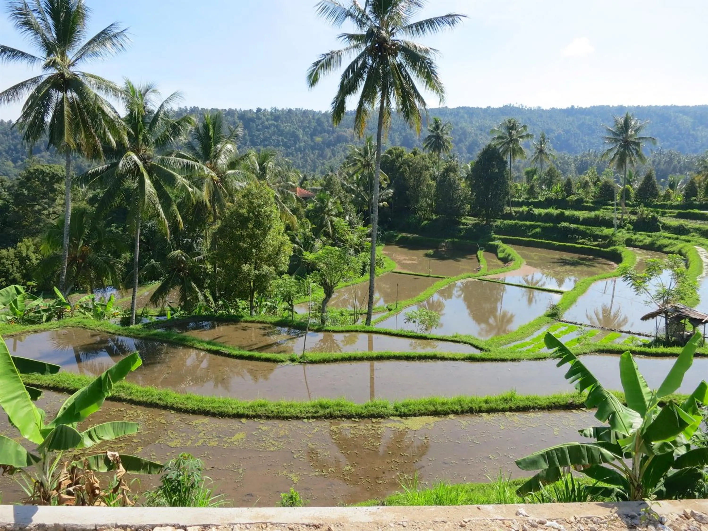 Nearby landmark in TEGAL SARI, Pemuteran- North Bali