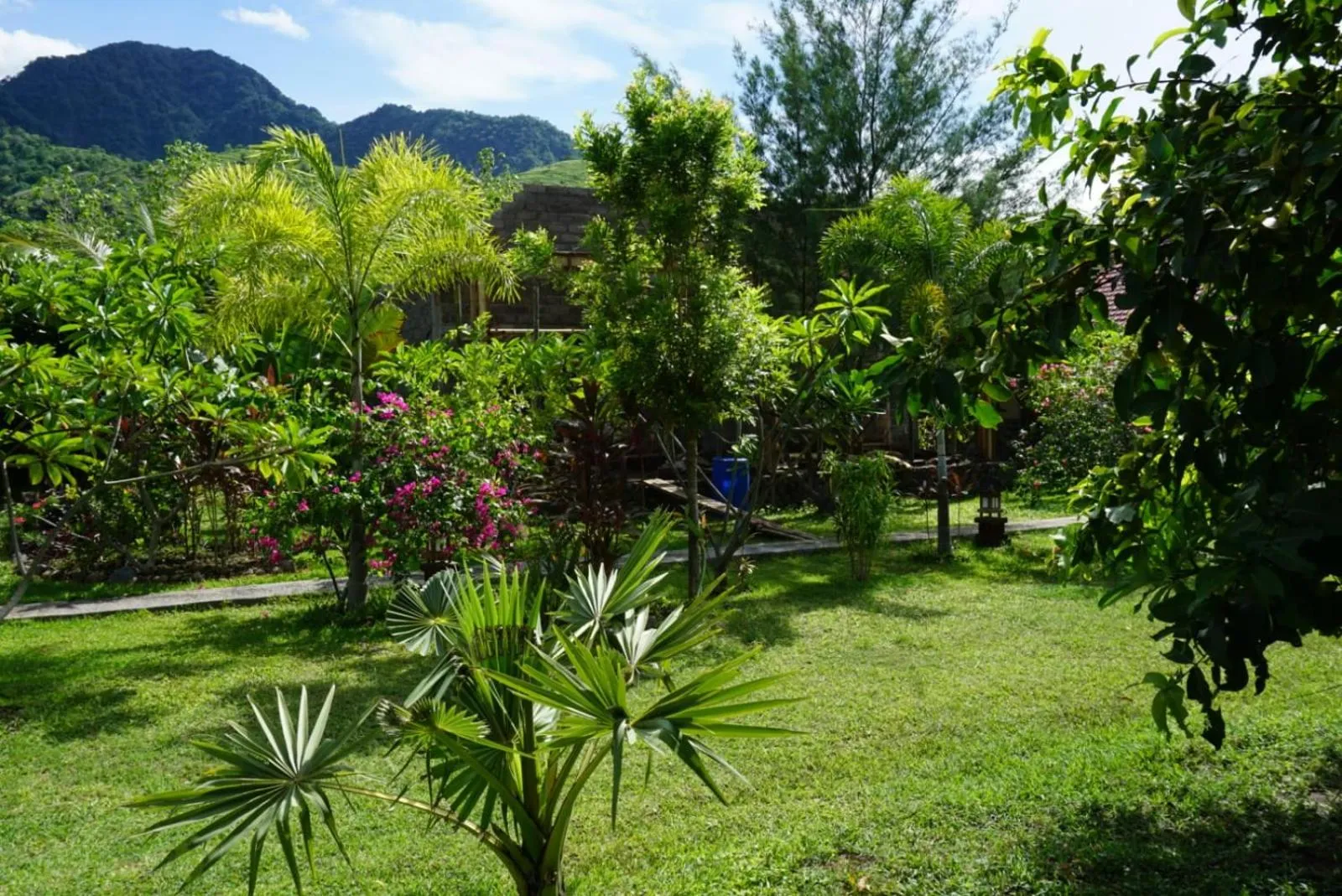 Garden in TEGAL SARI, Pemuteran- North Bali