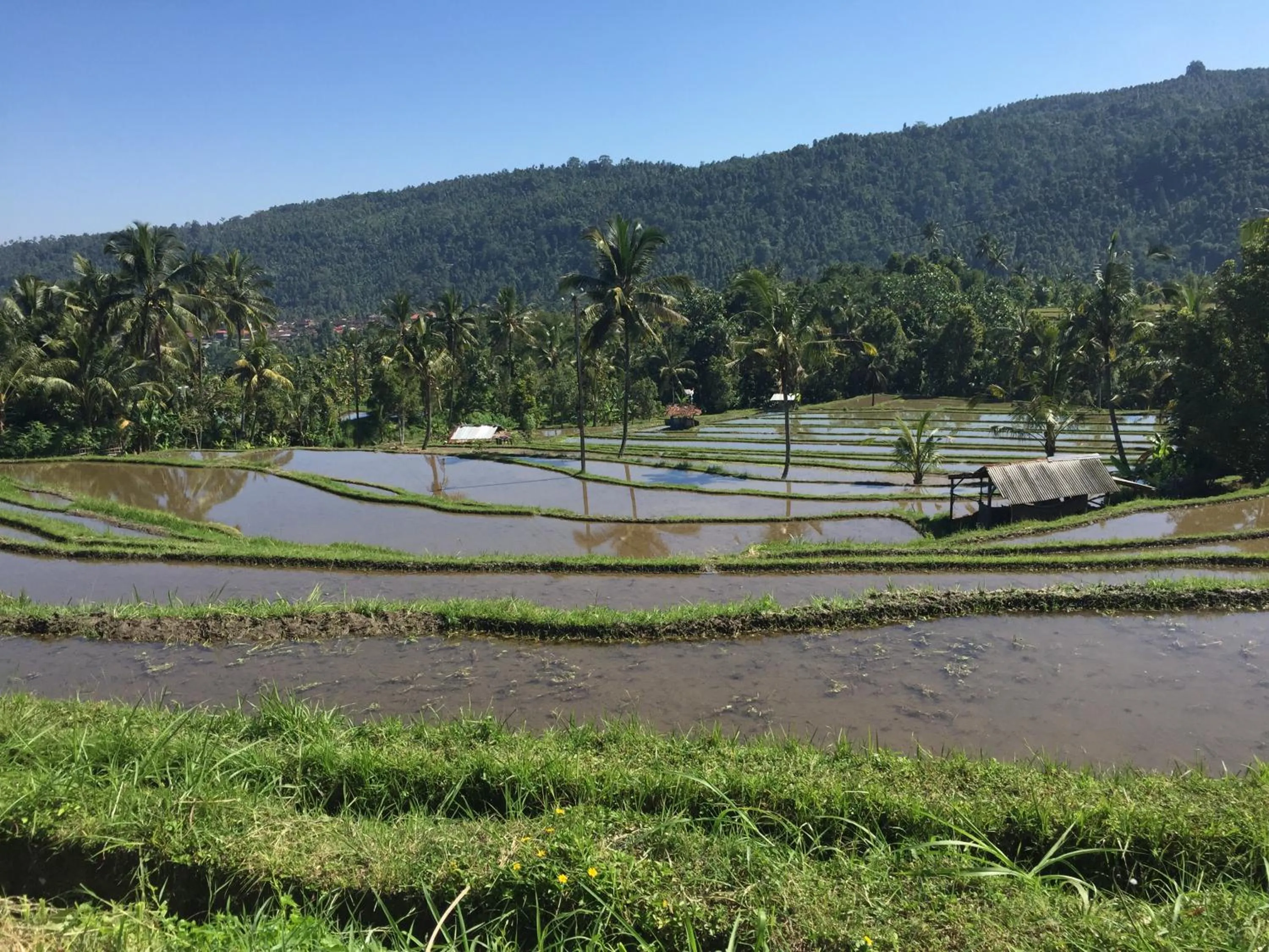 Location in TEGAL SARI, Pemuteran- North Bali