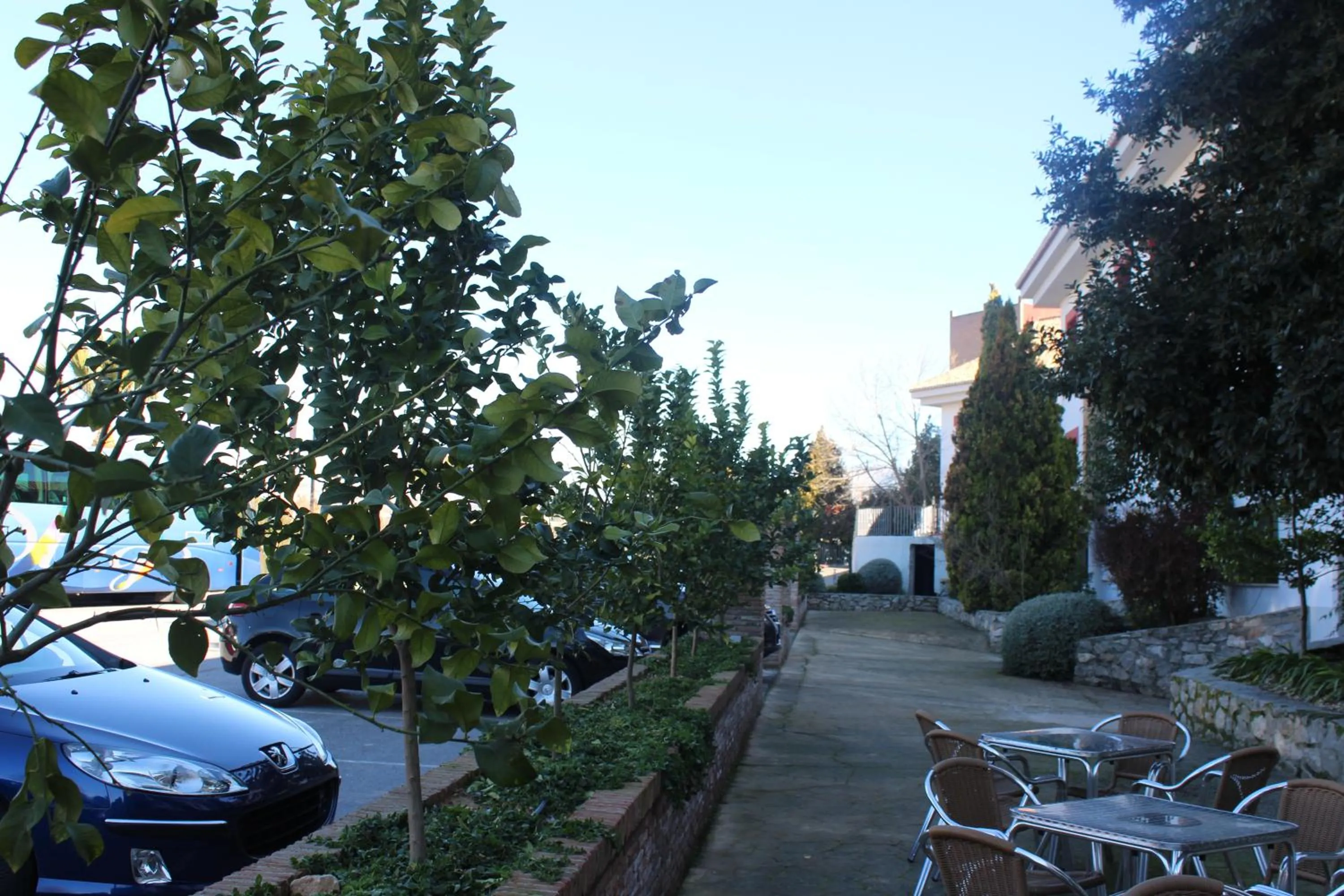 Garden in Hotel Reyes Ziries