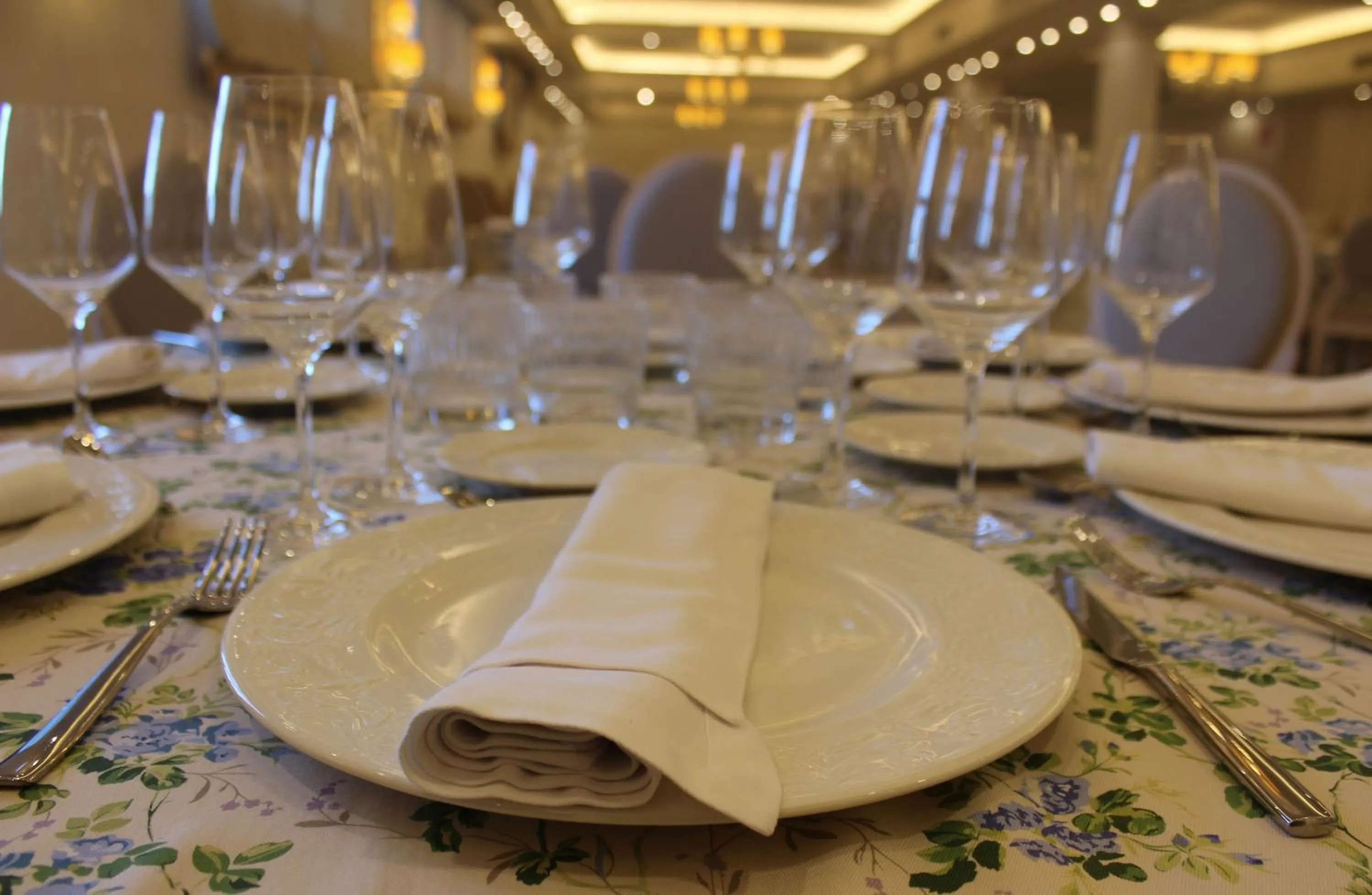 Banquet/Function facilities in Hotel Reyes Ziries